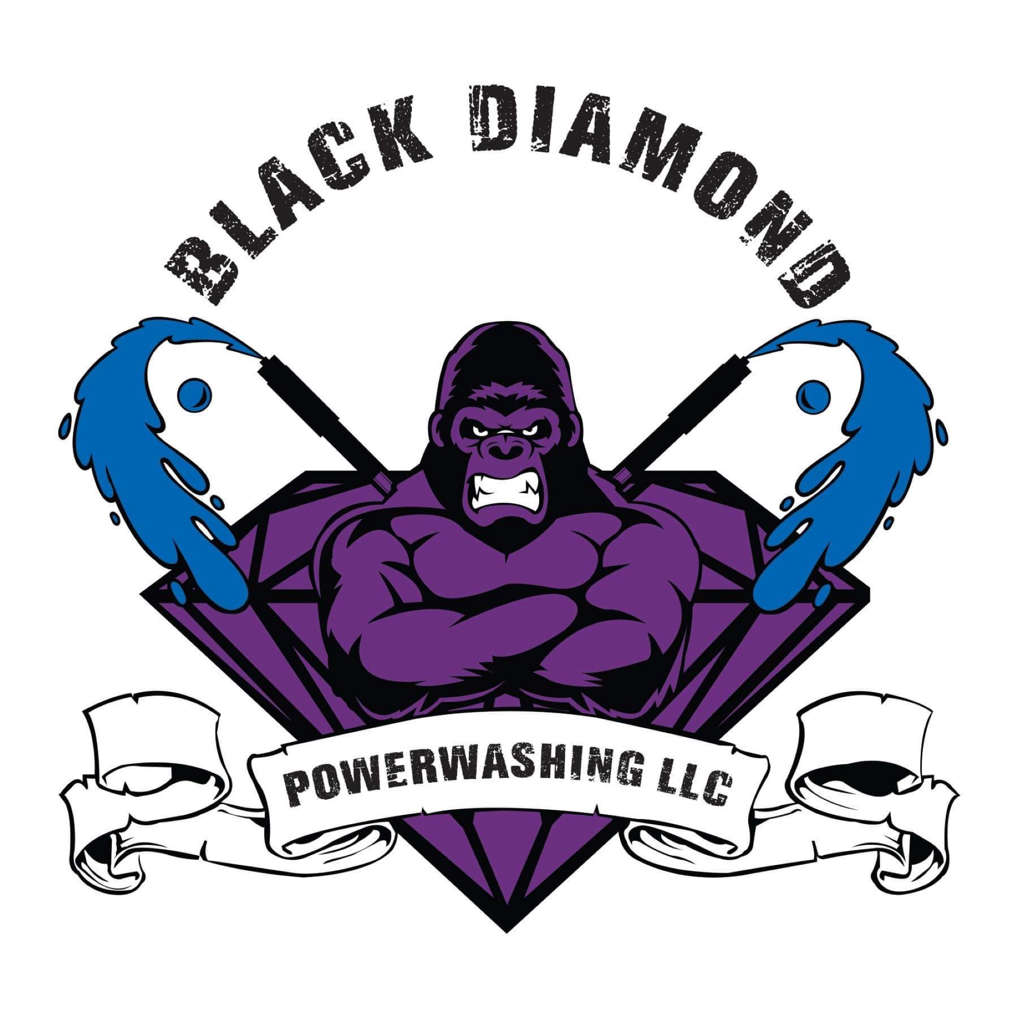 Black Diamond Power Washing Logo