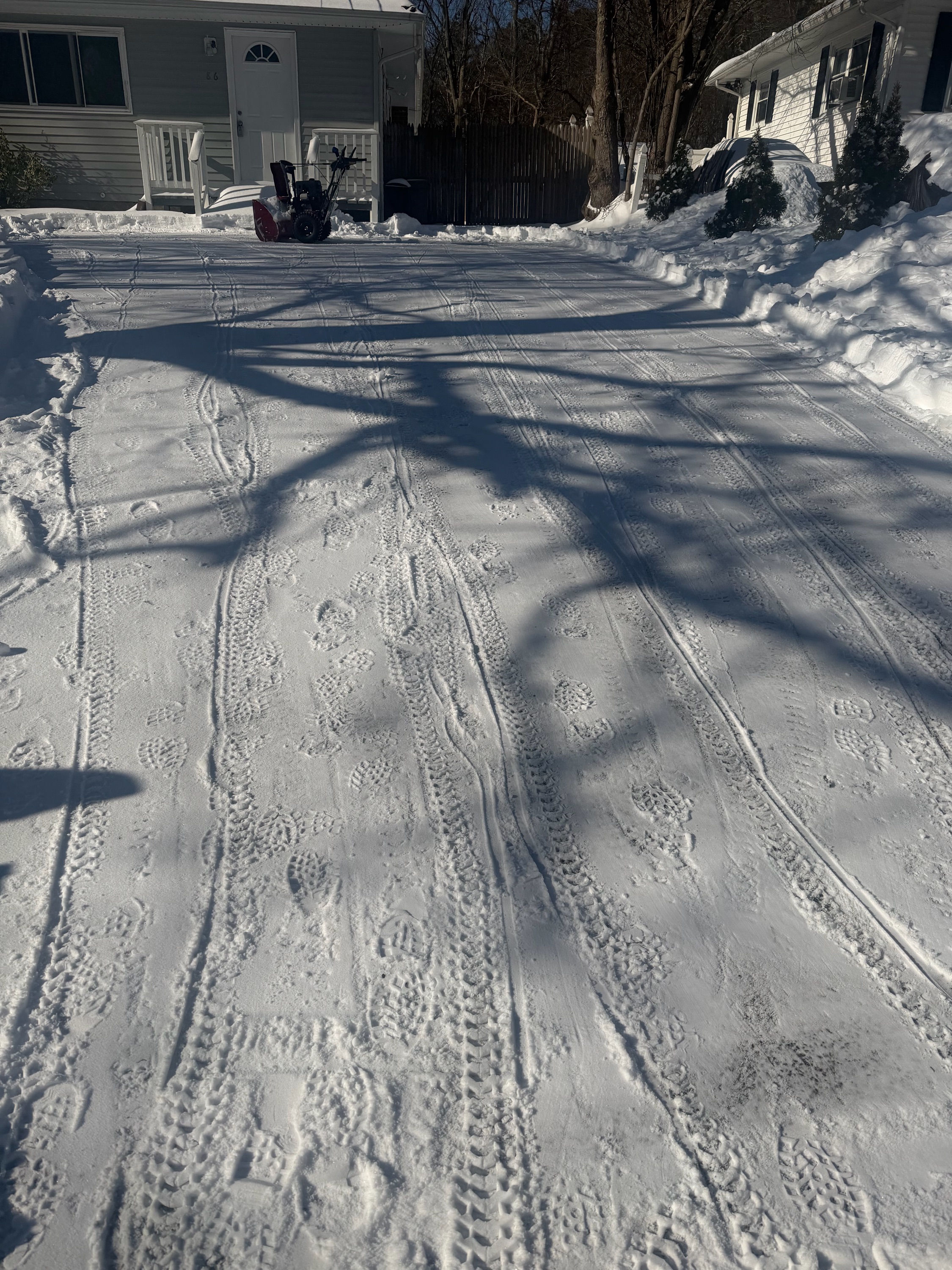 Leo AA LI Landscaping Service Logo