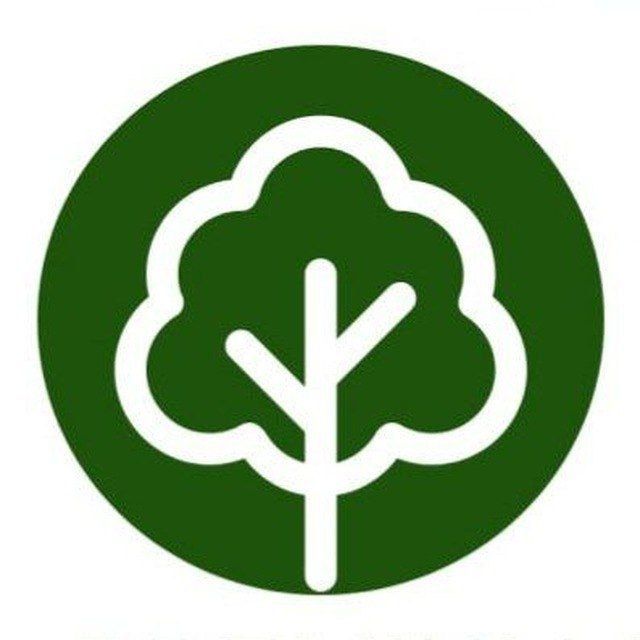 Scape Aesthetics Logo