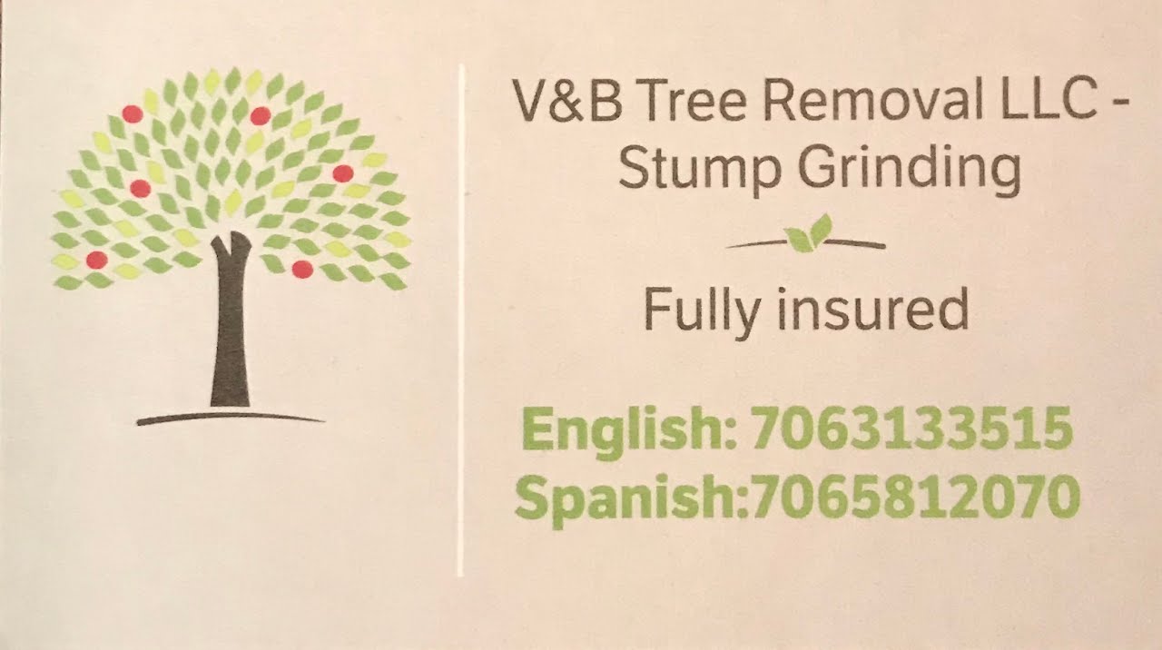 V&B Tree Removal, LLC Logo