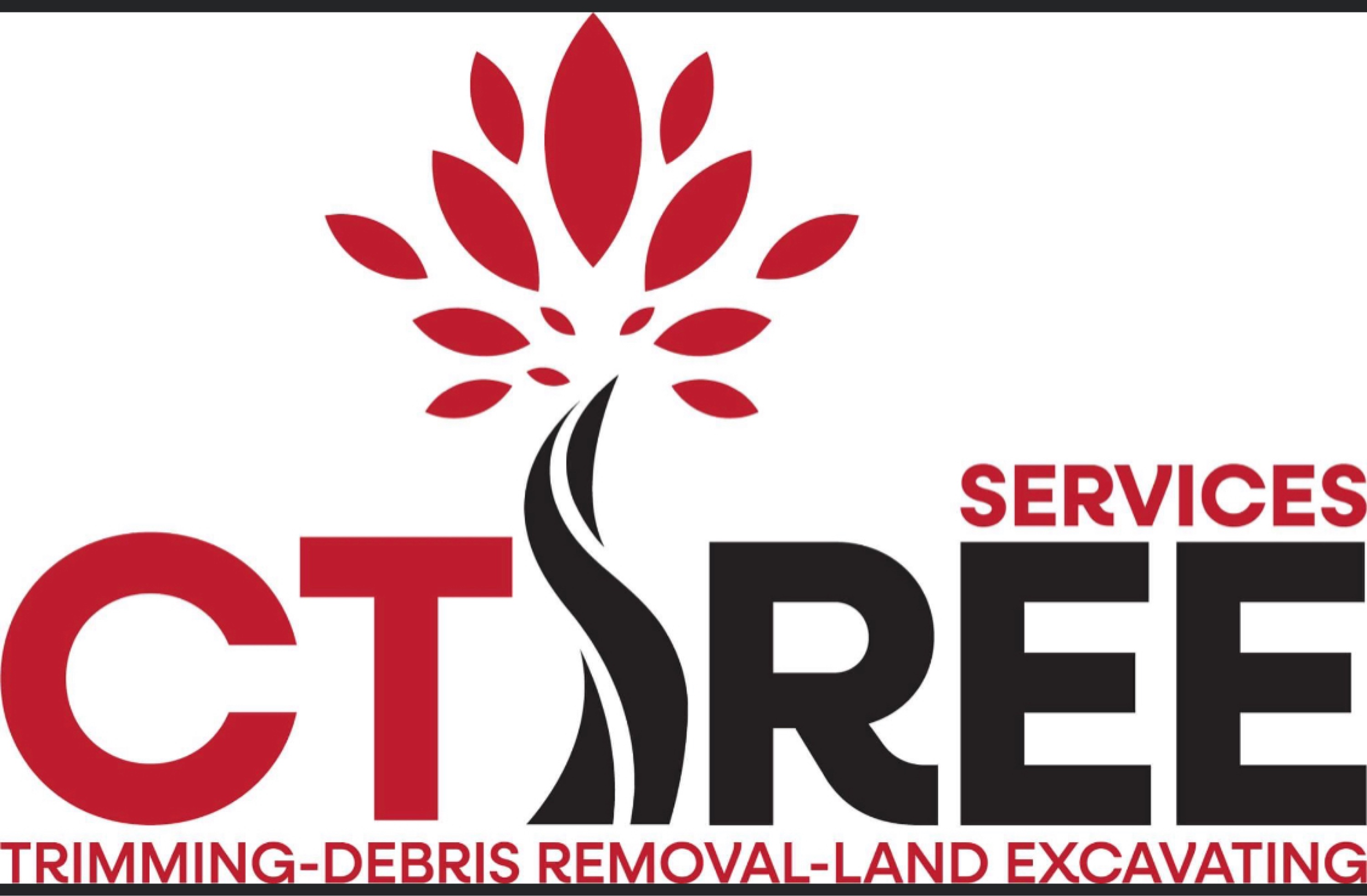 CT Trees Logo