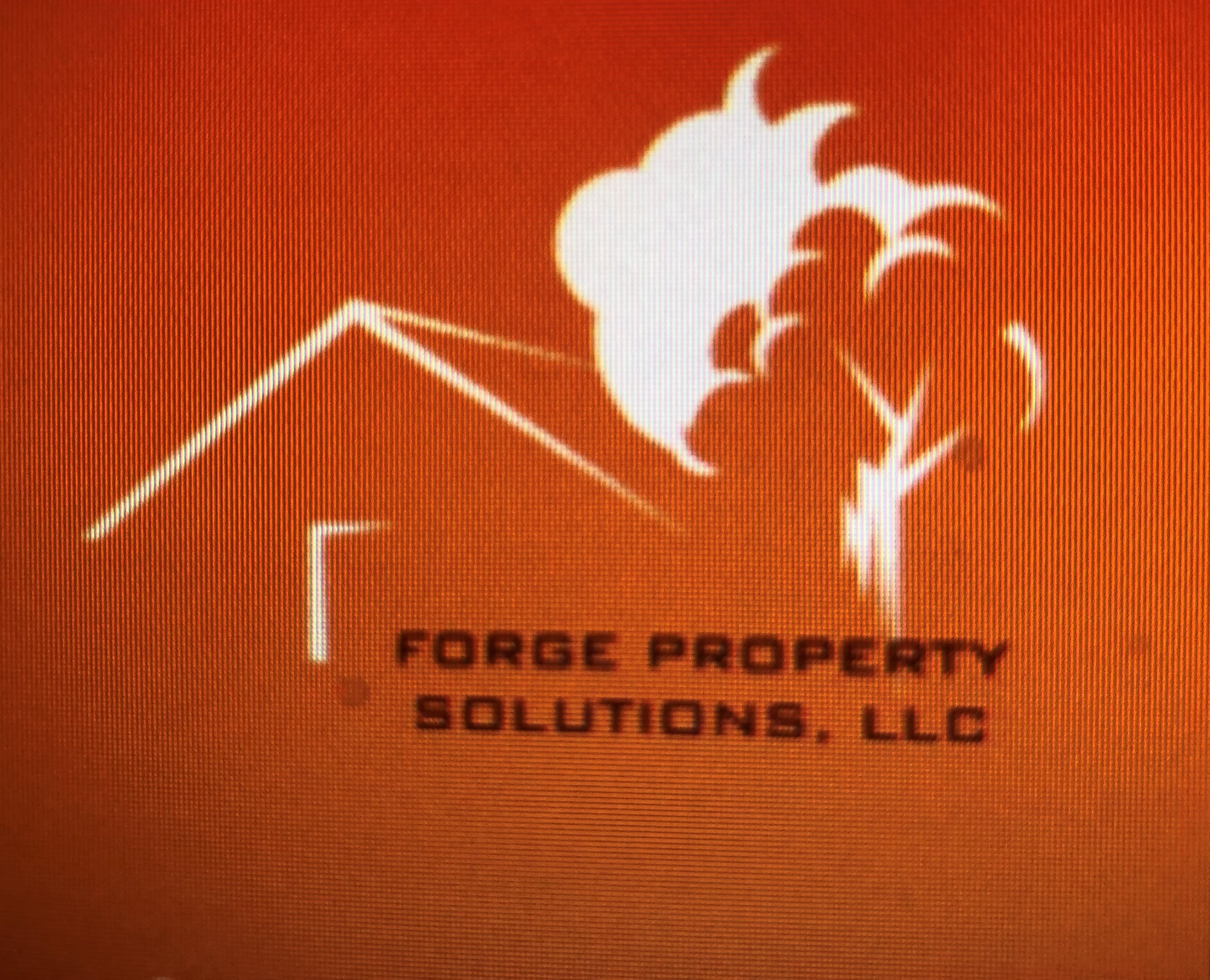 Forge Property Solutions, LLC Logo