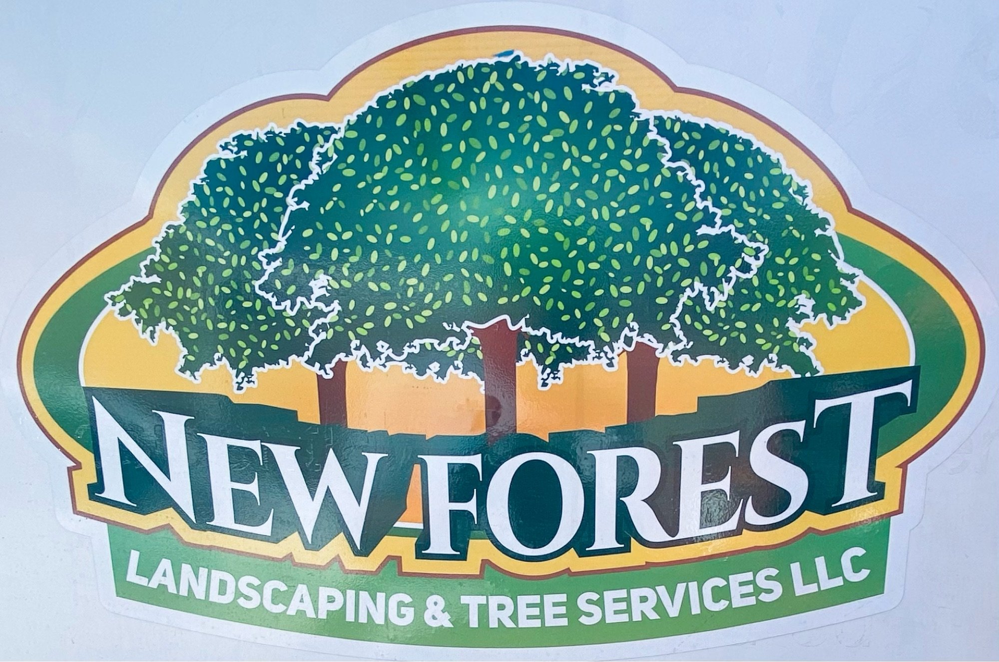 New Forest Tree Care, LLC Logo