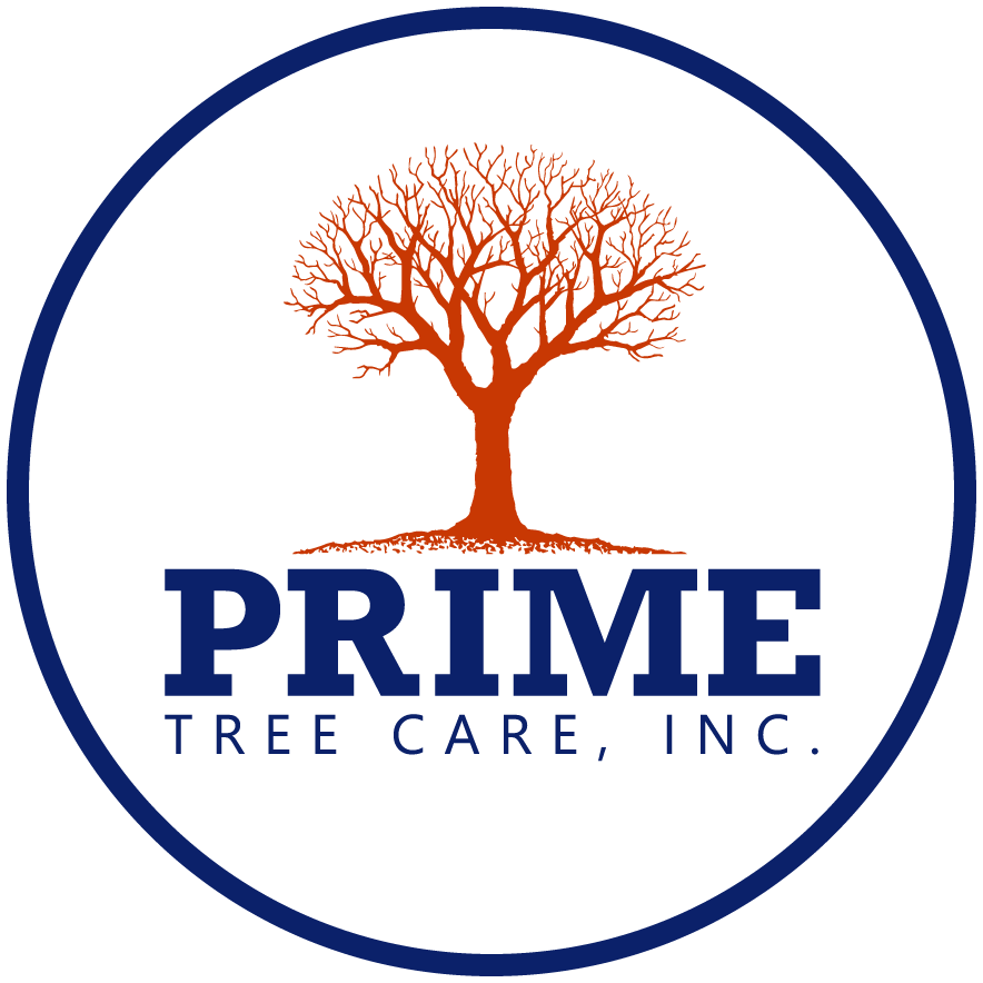 Prime Tree Care, Inc. Logo