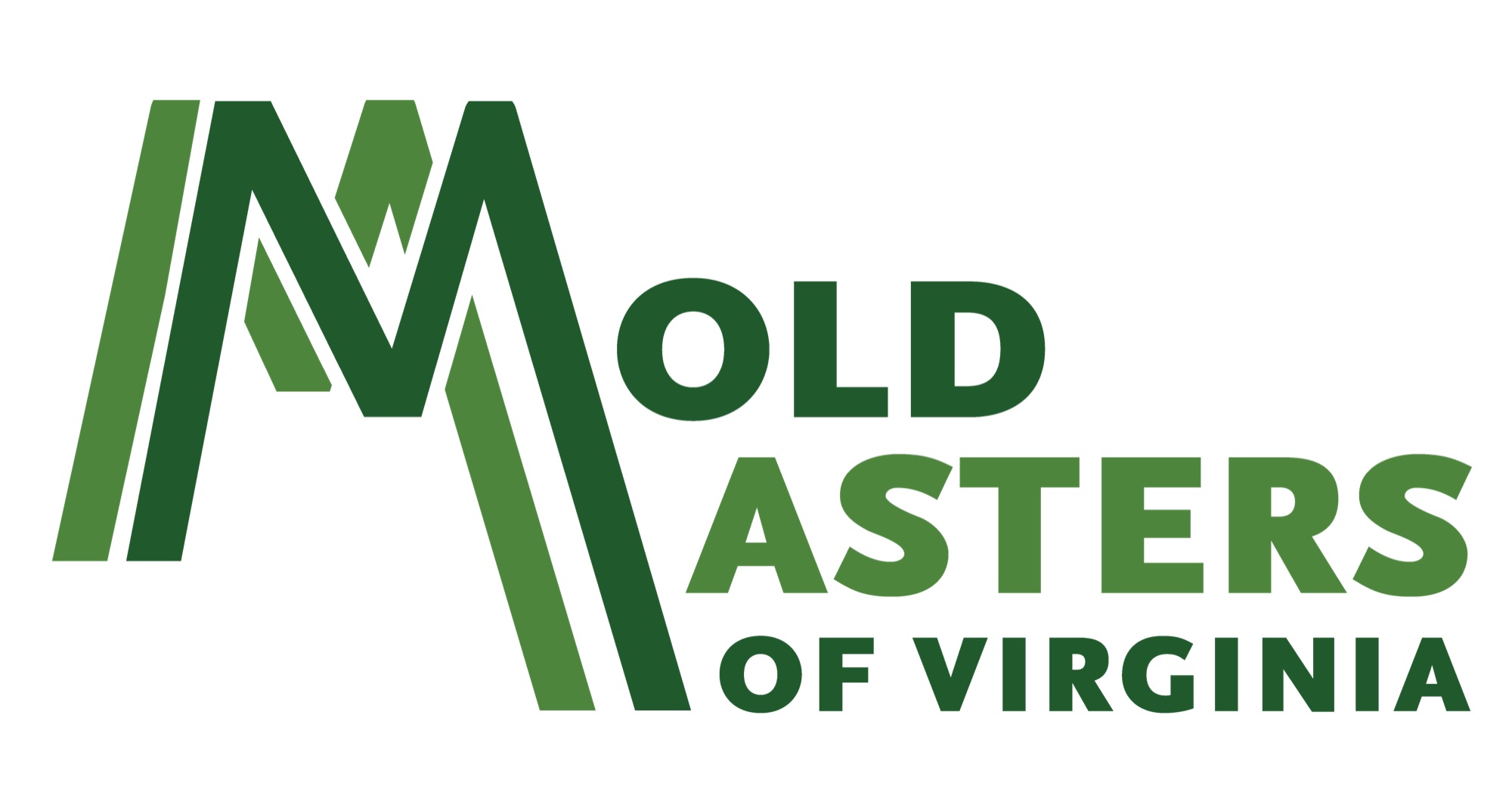 Mold Masters of Virginia Logo