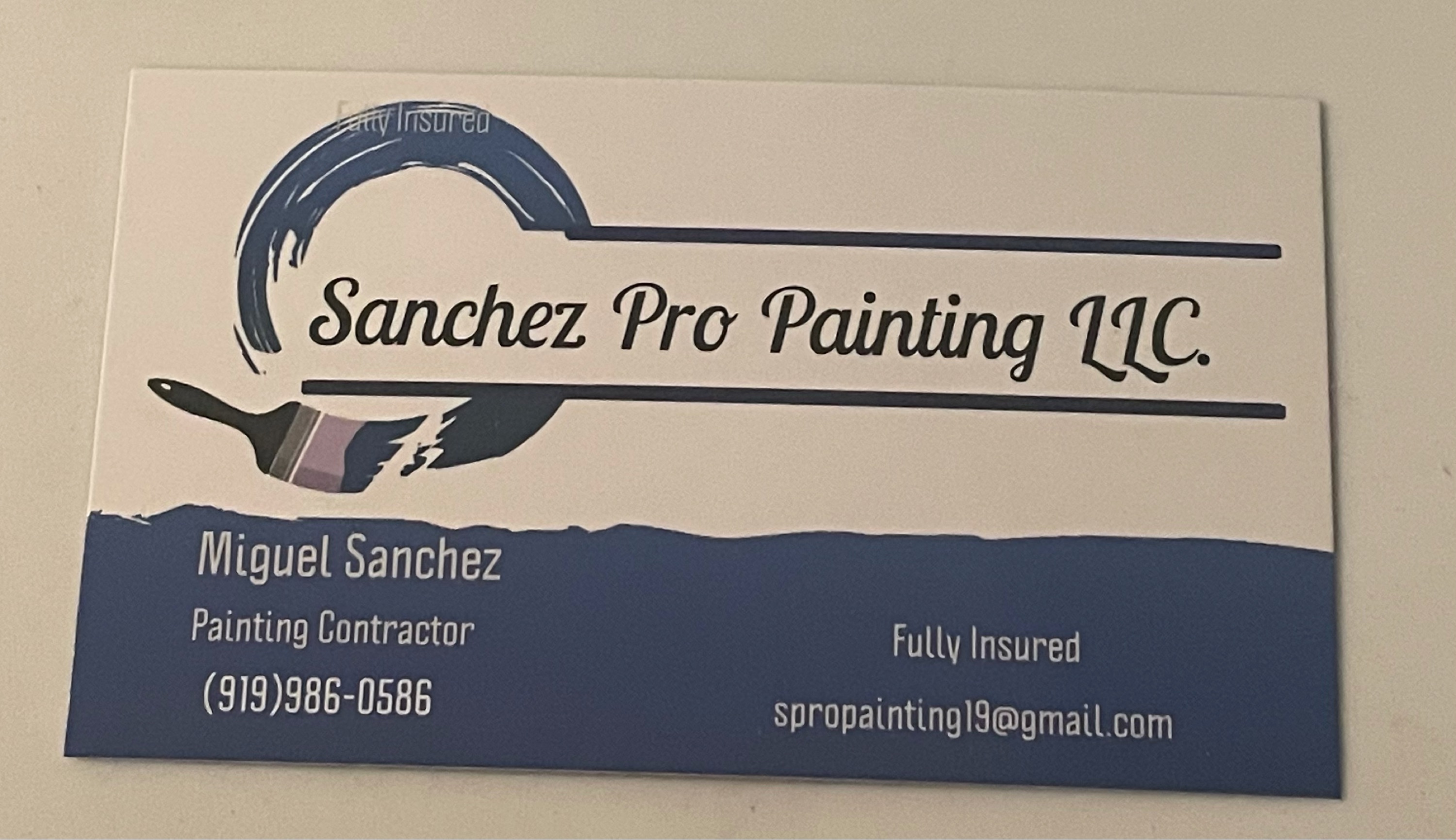 Sanchez Pro Painting Logo