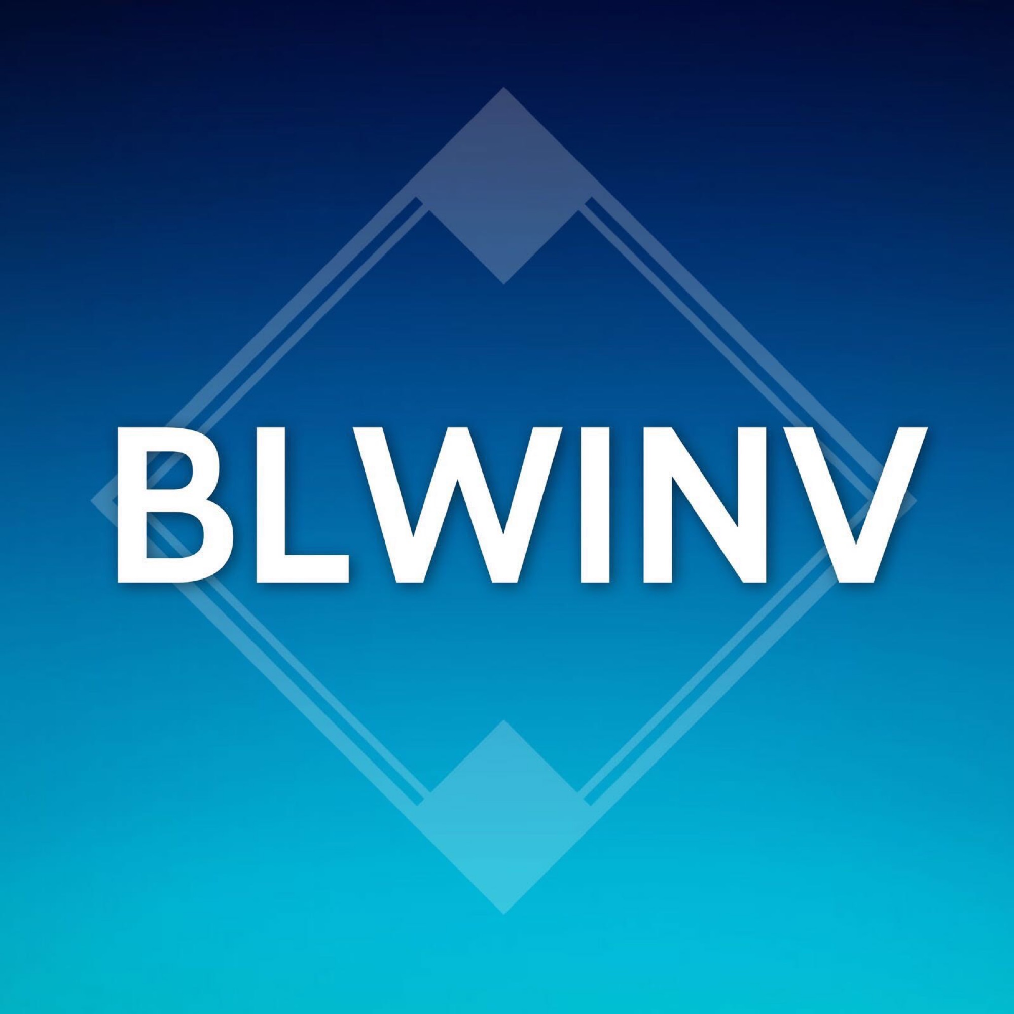 BLWINV USA, LLC Logo