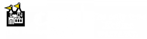 Castle - The Window People Logo