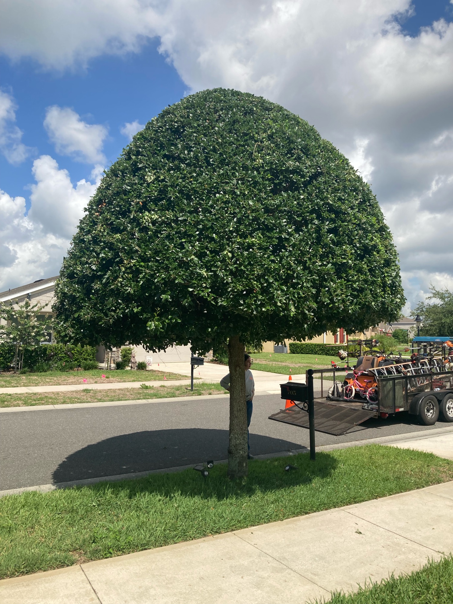 Osem's Landscaping & More, LLC Logo
