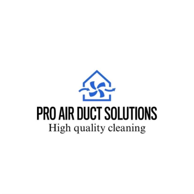 Pro Air Duct Solutions Logo