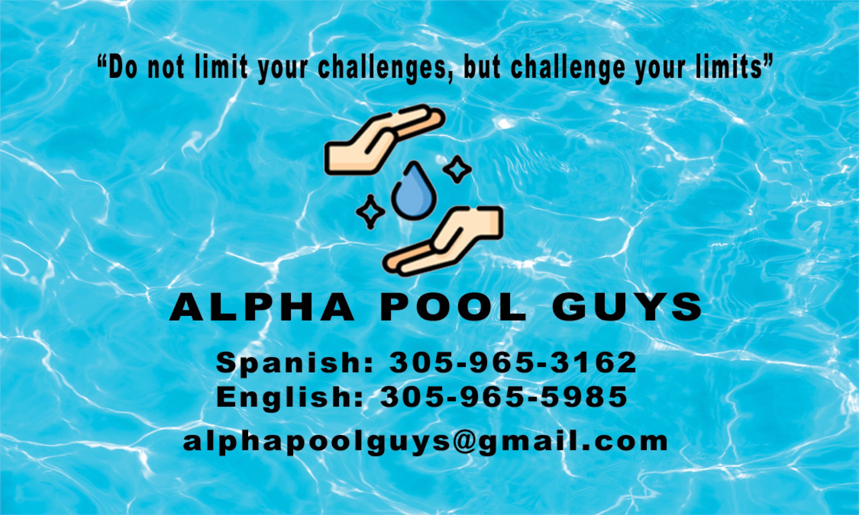 Alpha Pool Guys, LLC Logo