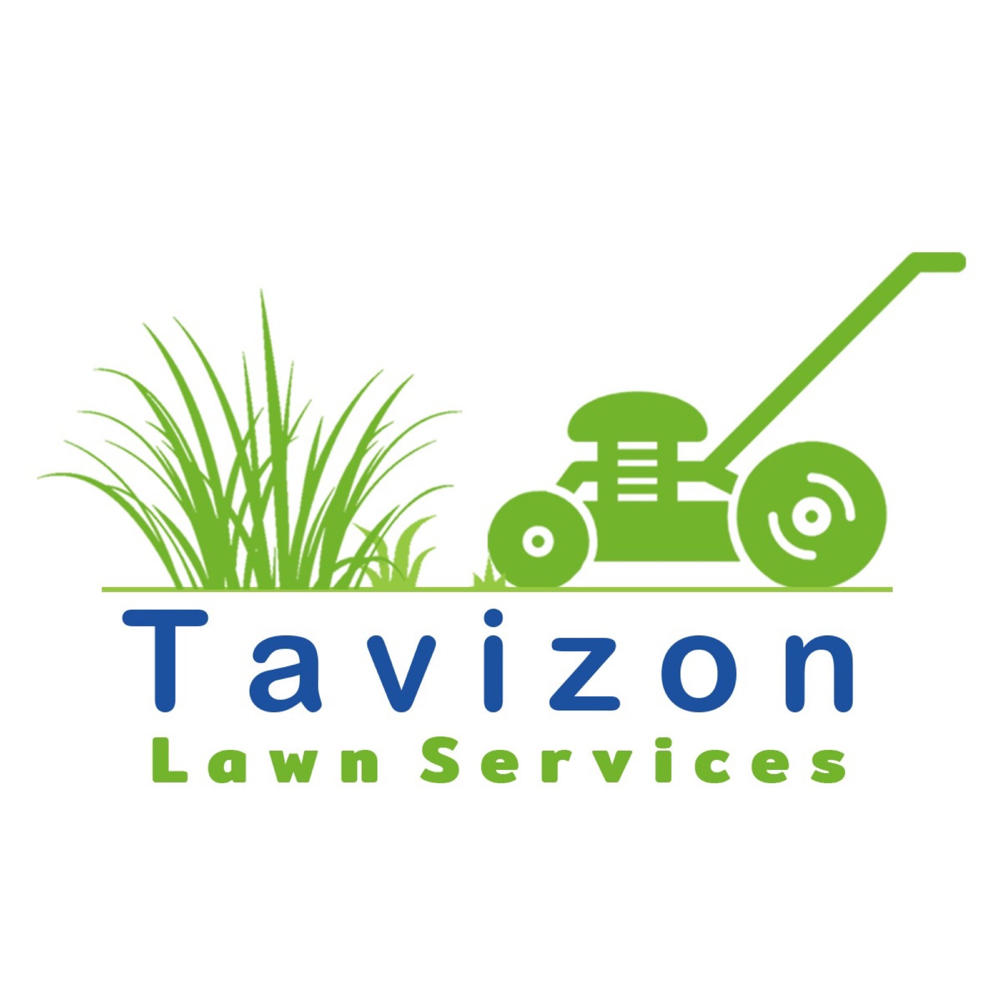 Tavizon Lawn Services LLC Logo