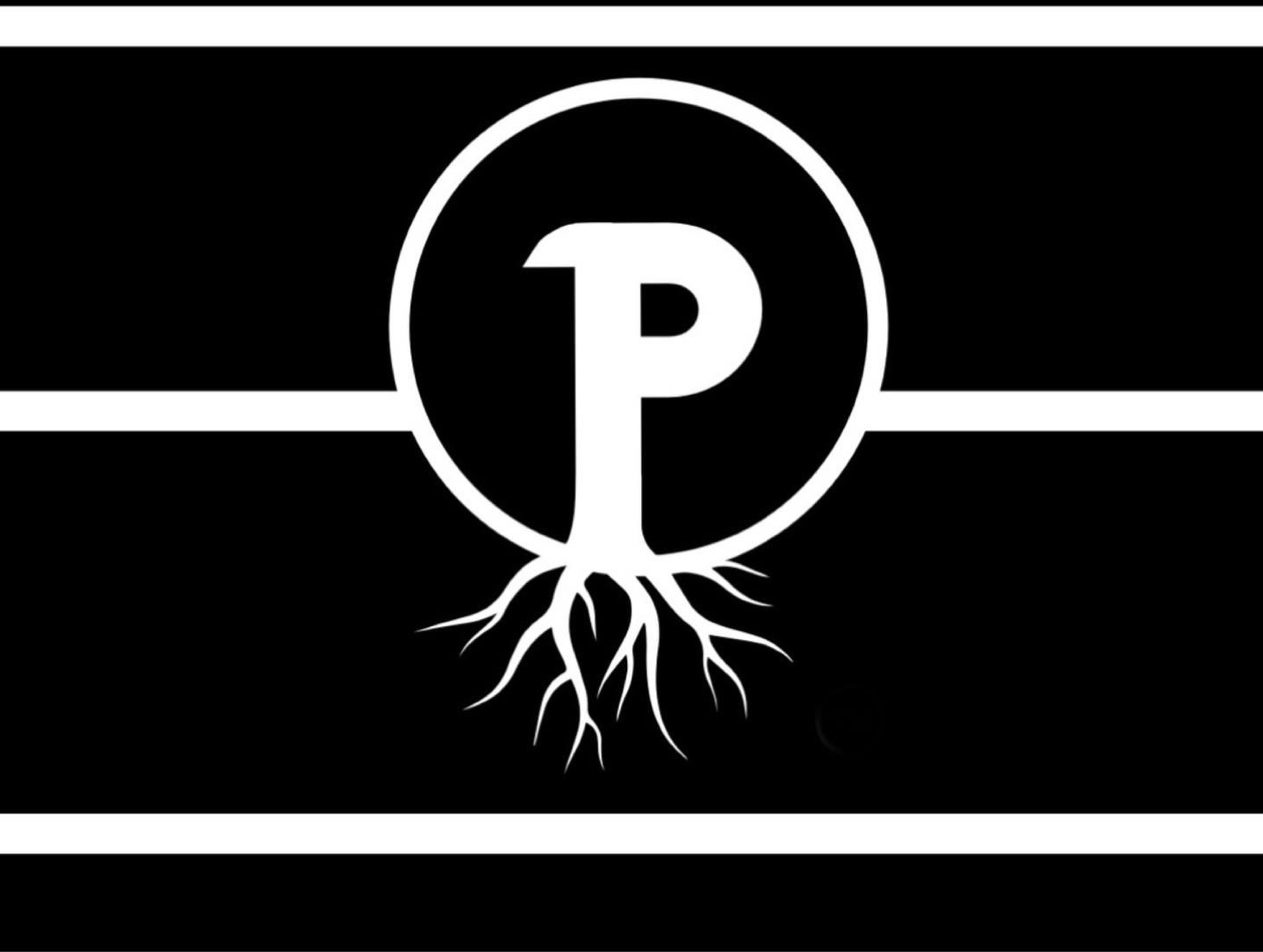 P Tree United Services LLC Logo