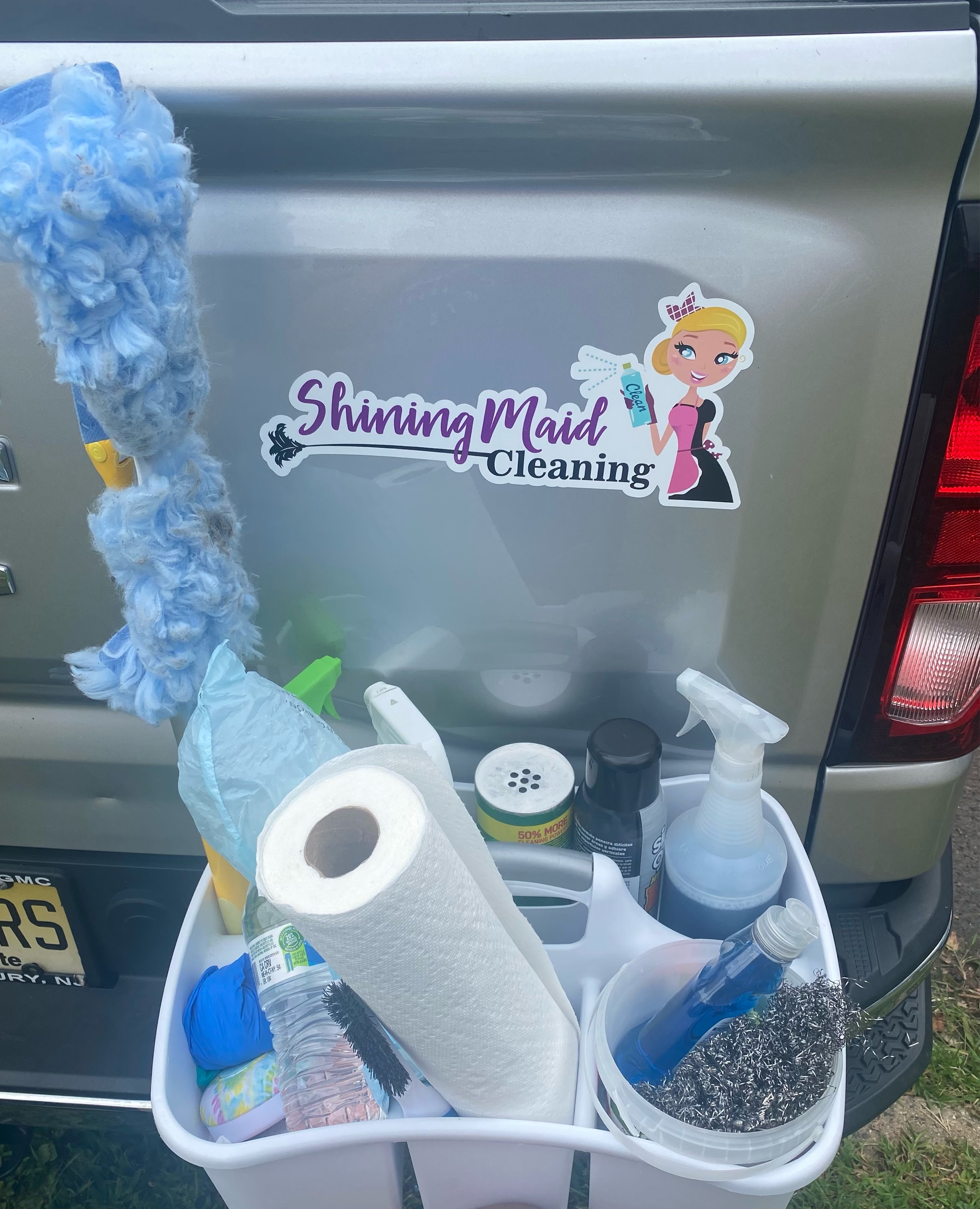 Shining Maid Cleaning Logo