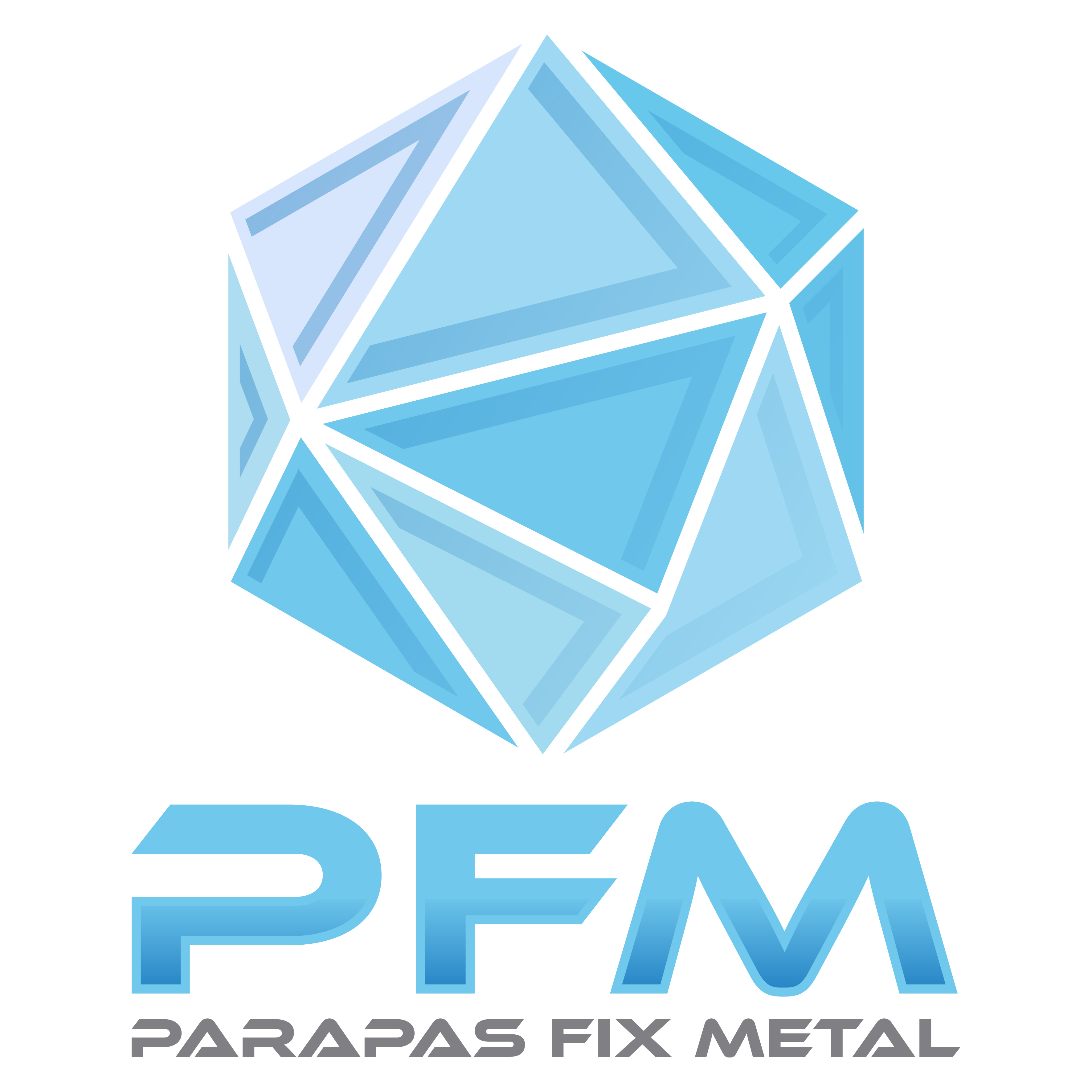 Parapas Fix Metal Logo
