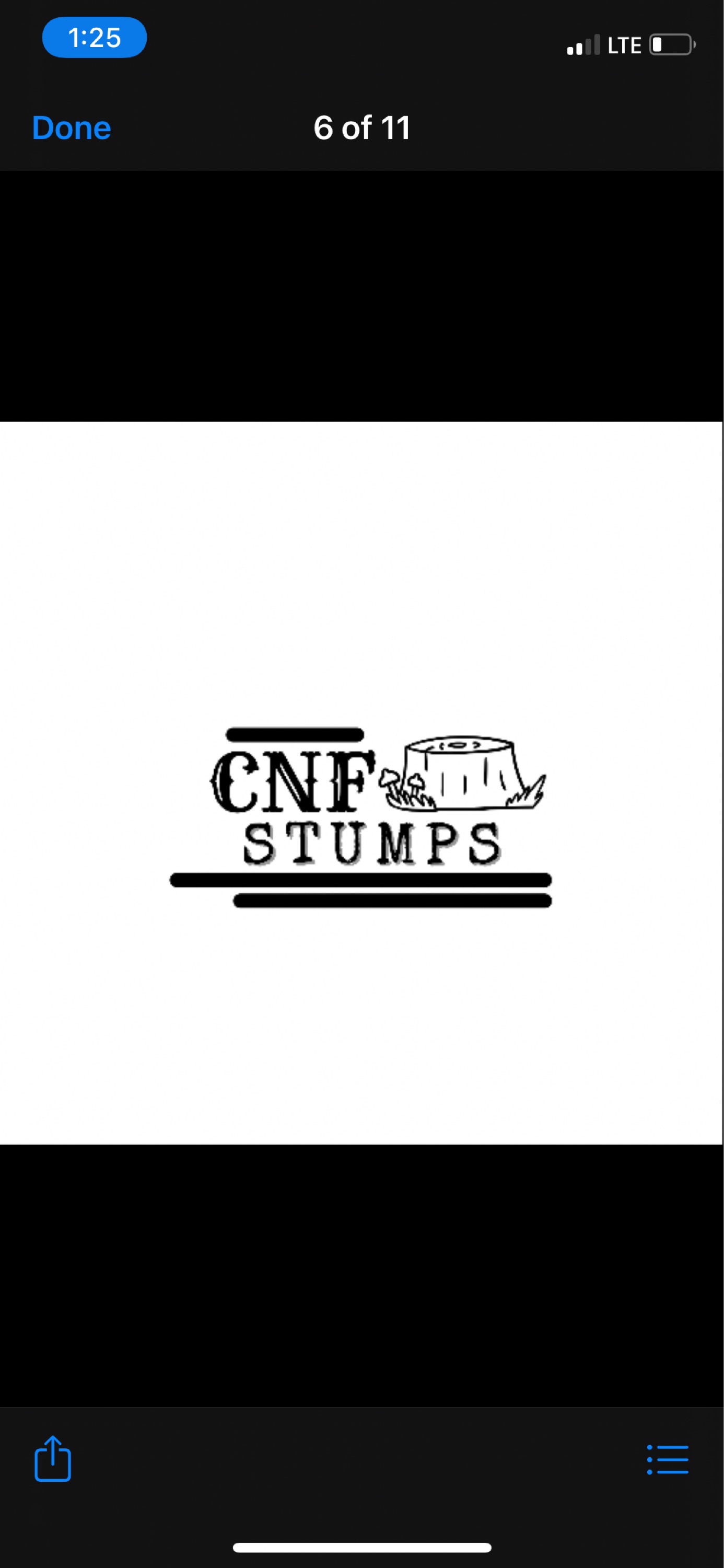 CNF Stumps Logo