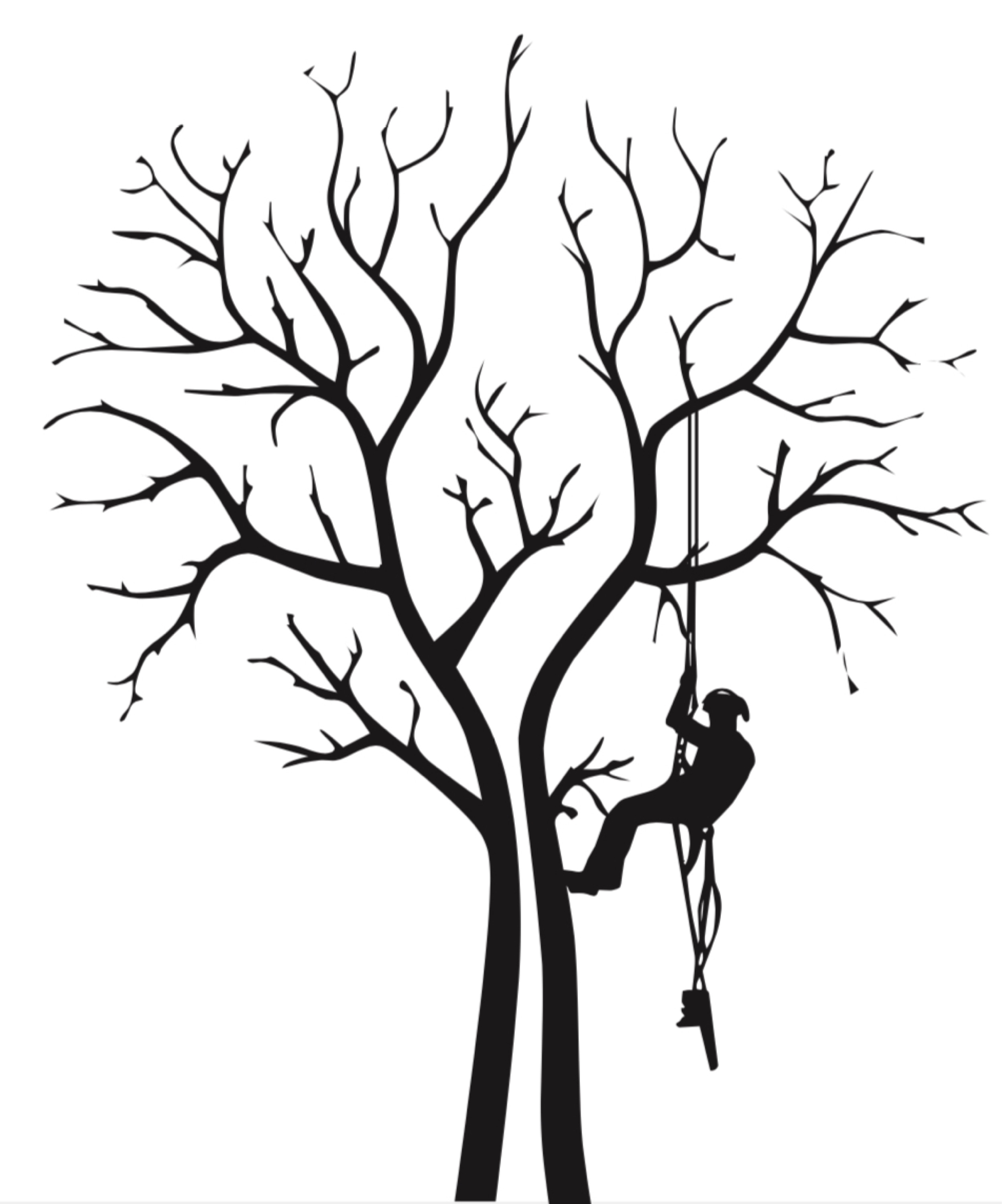 Precision Tree Service, LLC Logo