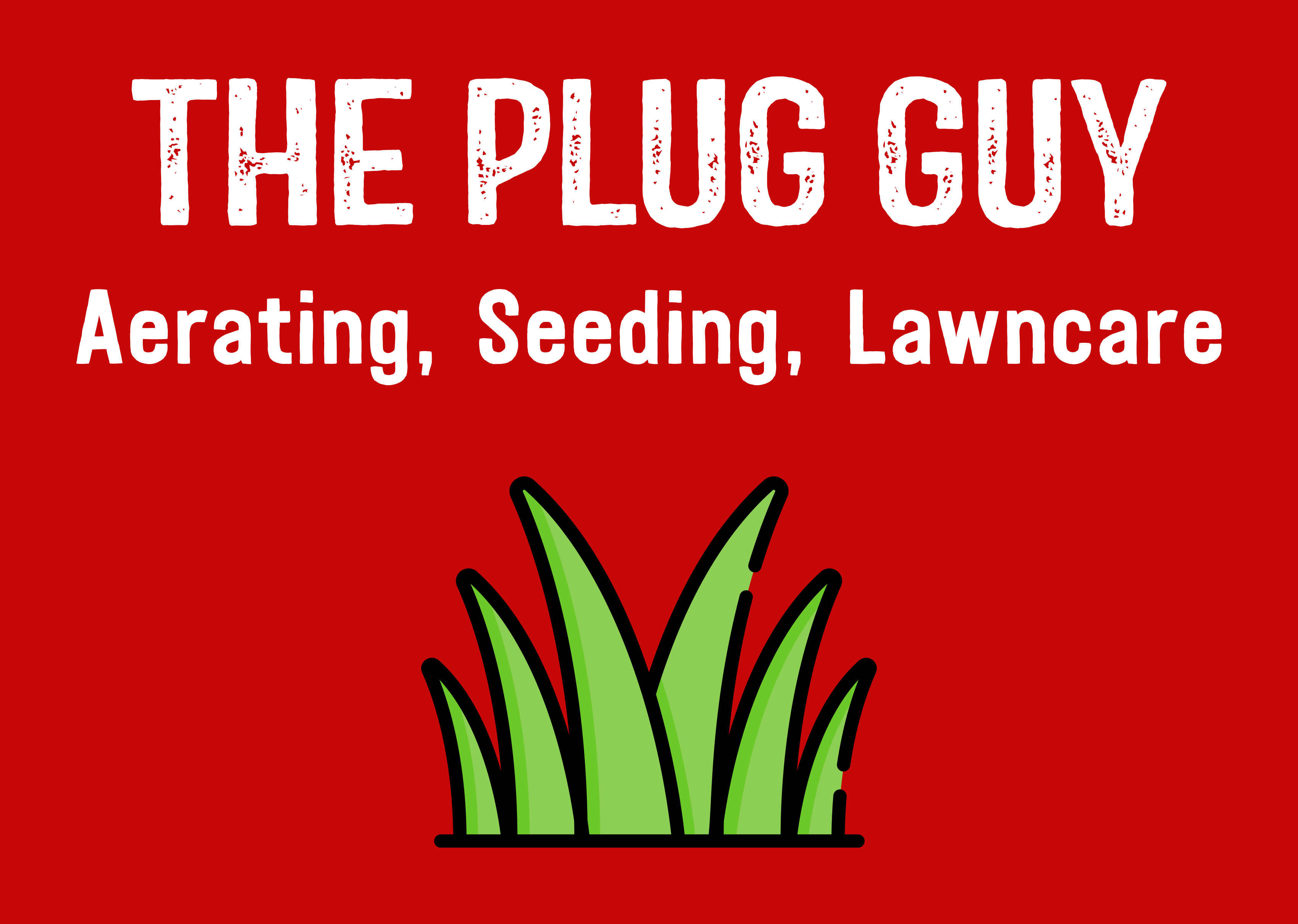 The Plug Guy Logo