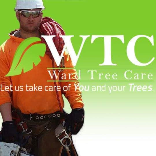 Ward Tree Care Logo
