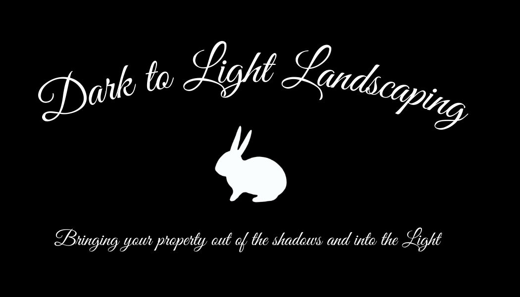 Dark To Light Landscaping, LLC Logo