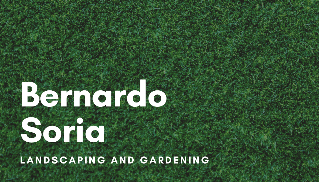Bernardo Landscape Logo