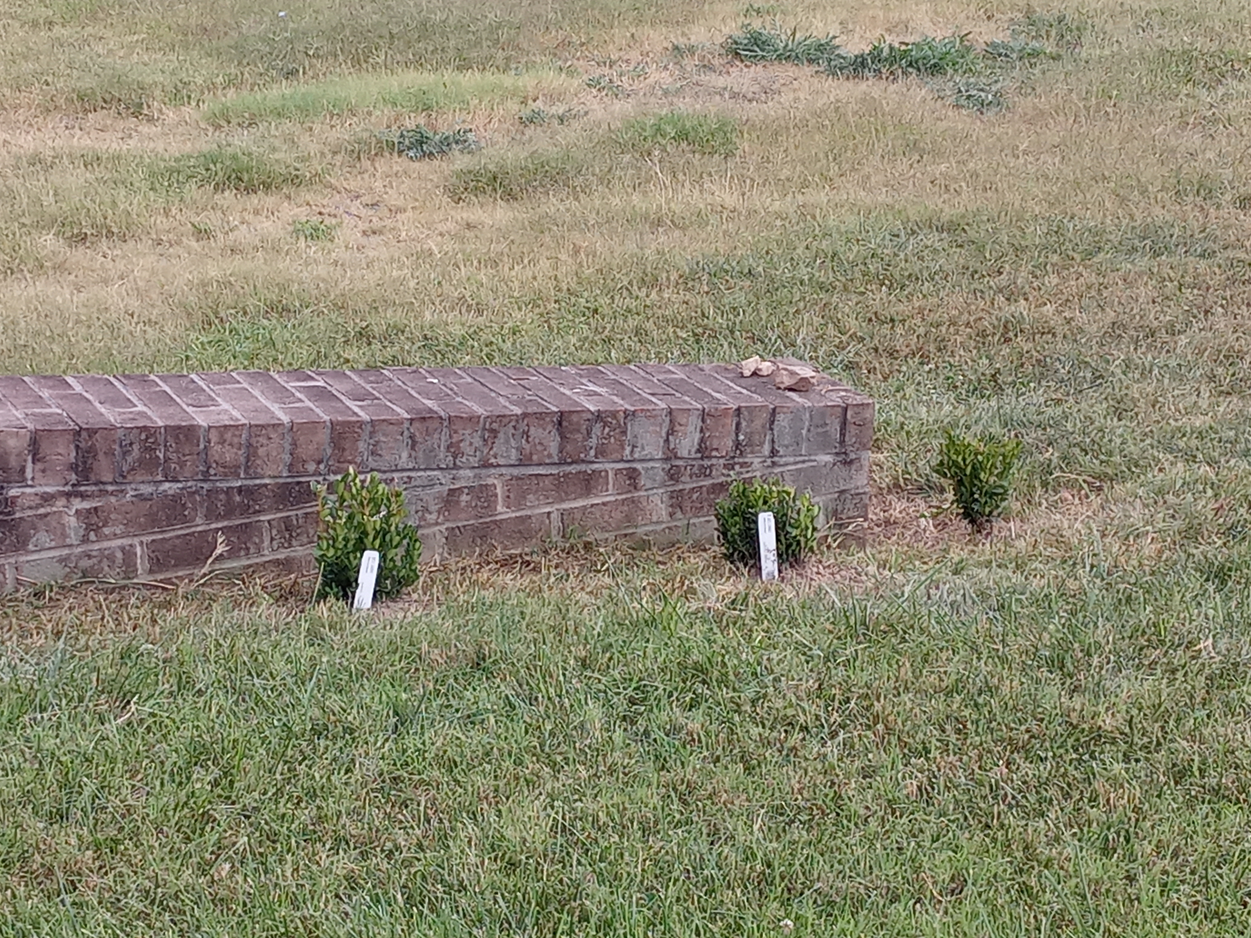 Judy's Landscaping Logo