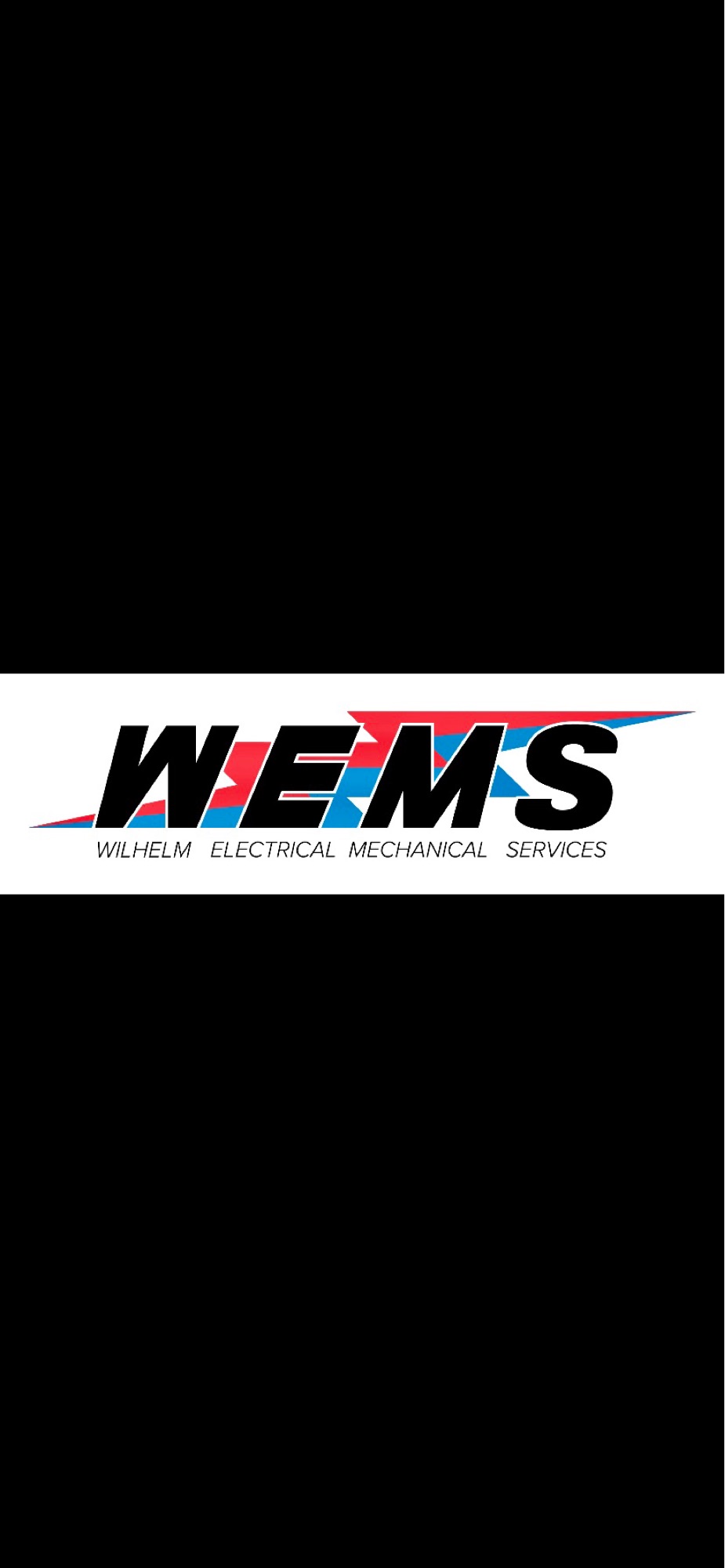 WEMS LLC Logo
