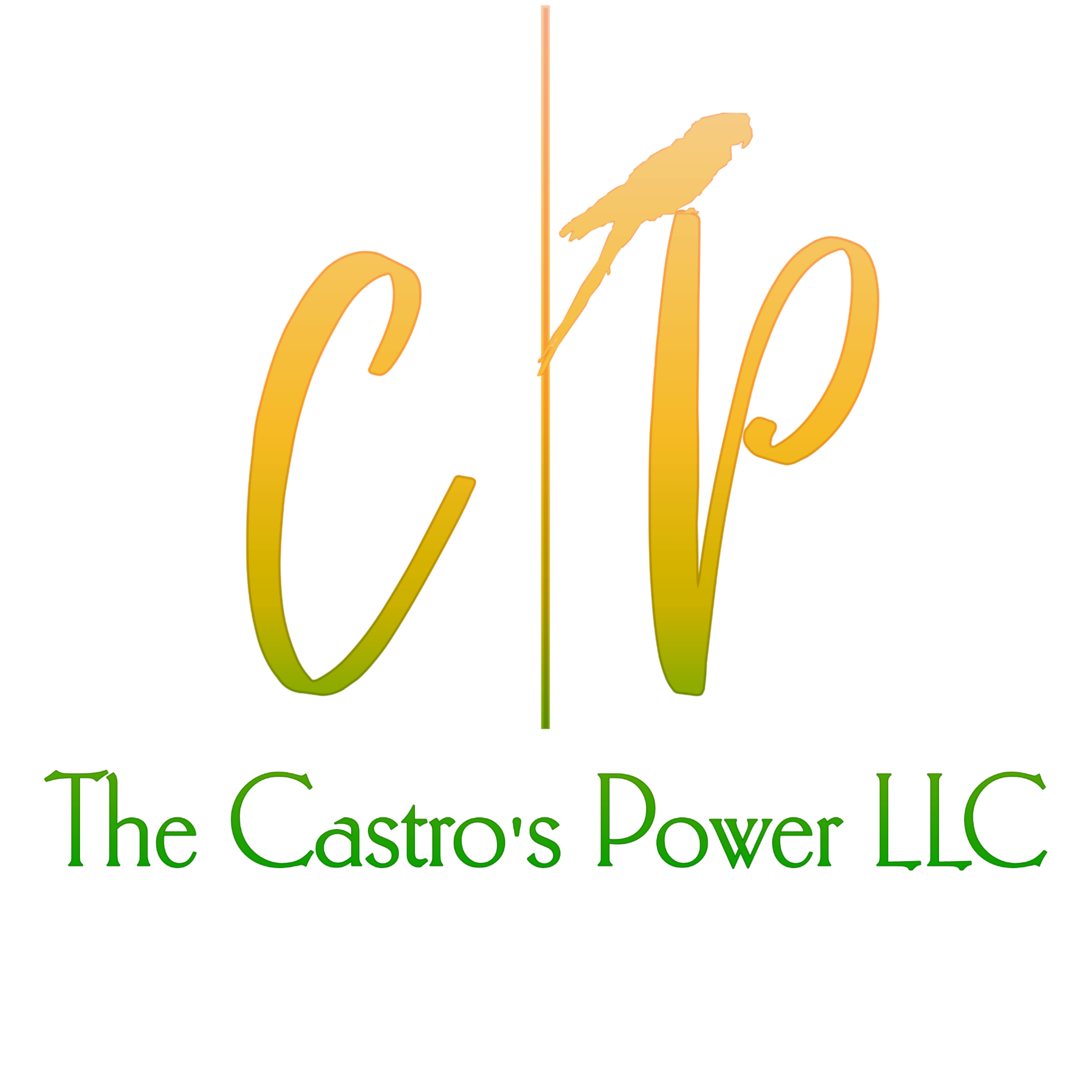 The Castros Power Logo