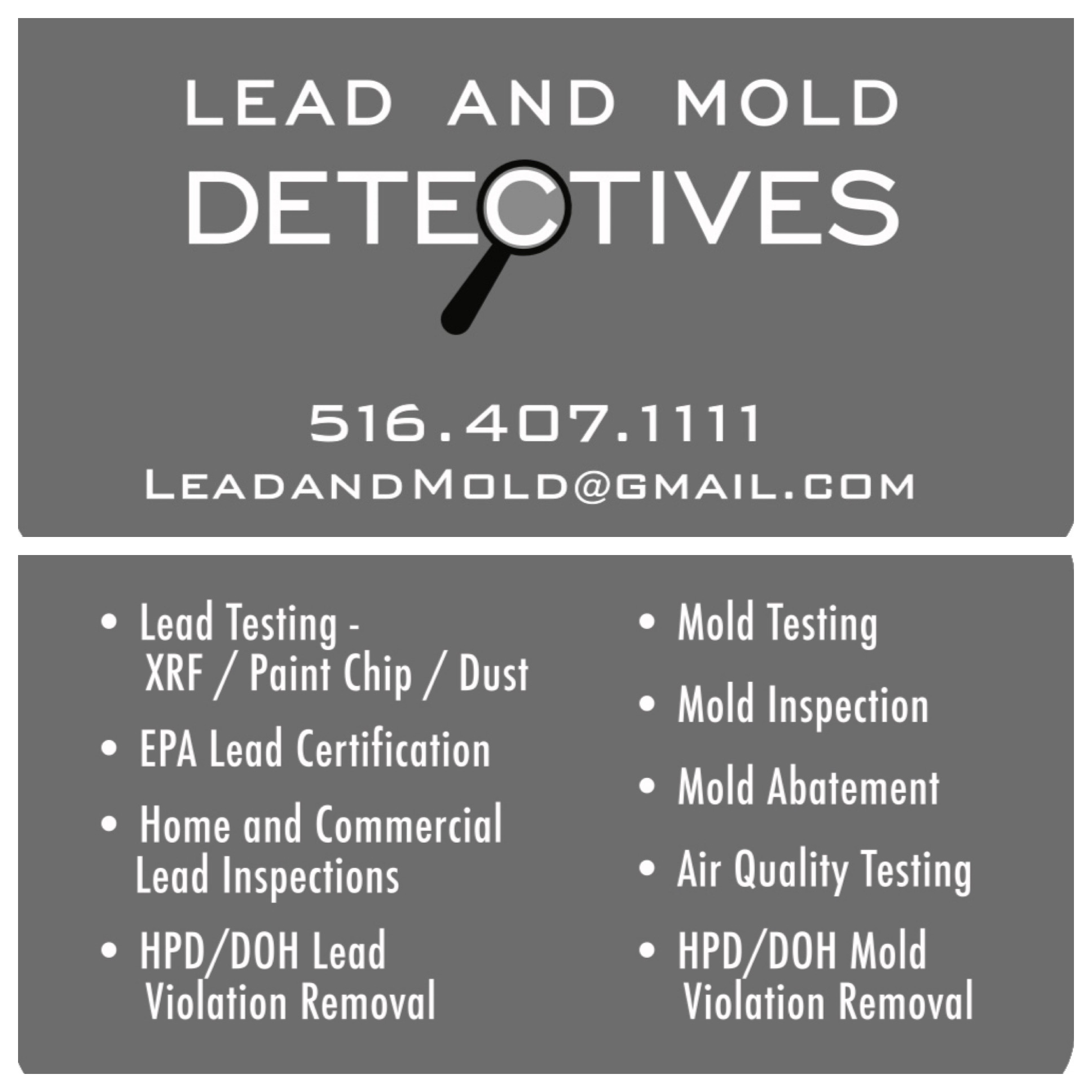 Lead and Mold Detectives Logo