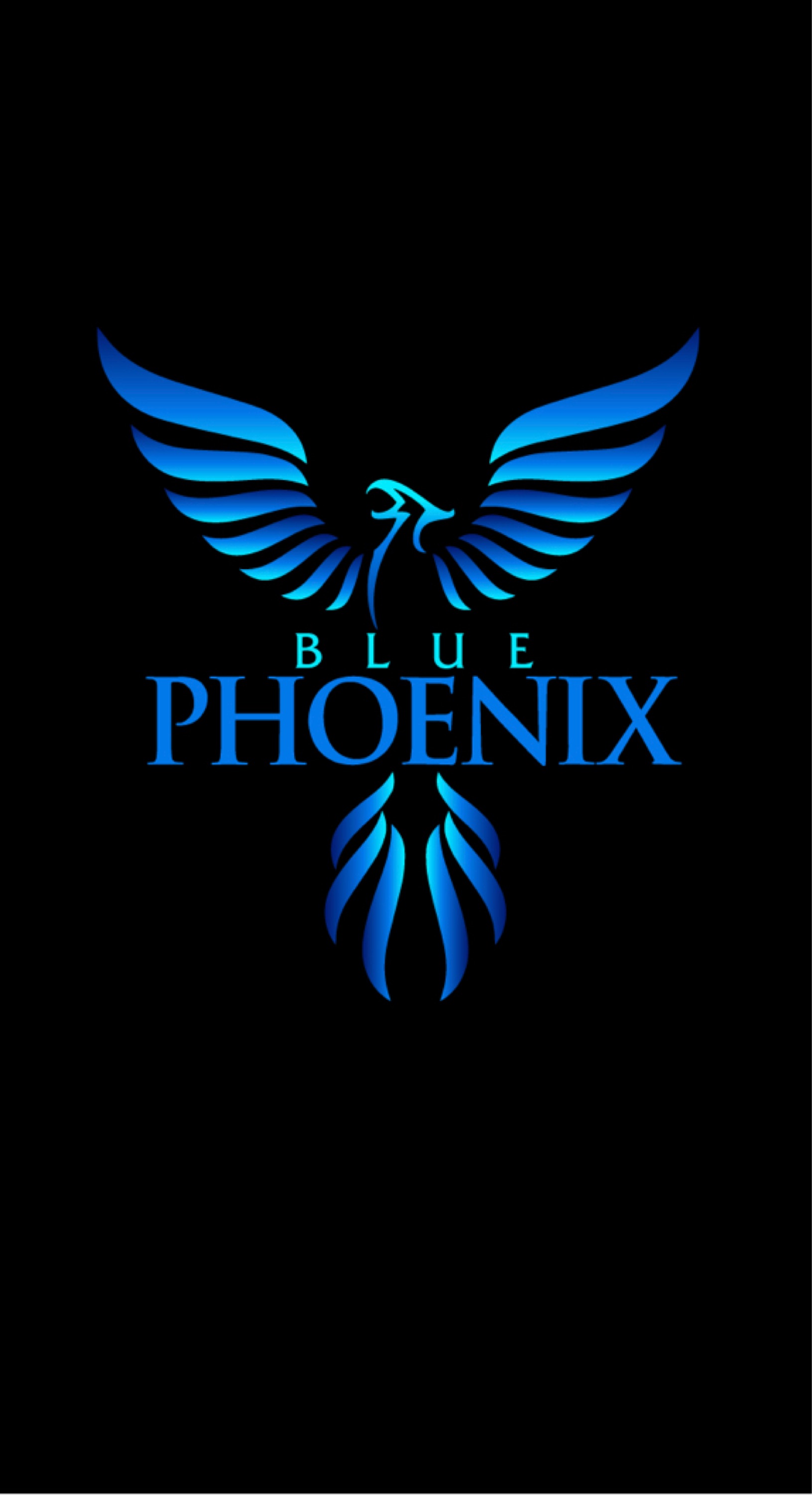 Phoenix Electric Group, Inc. Logo
