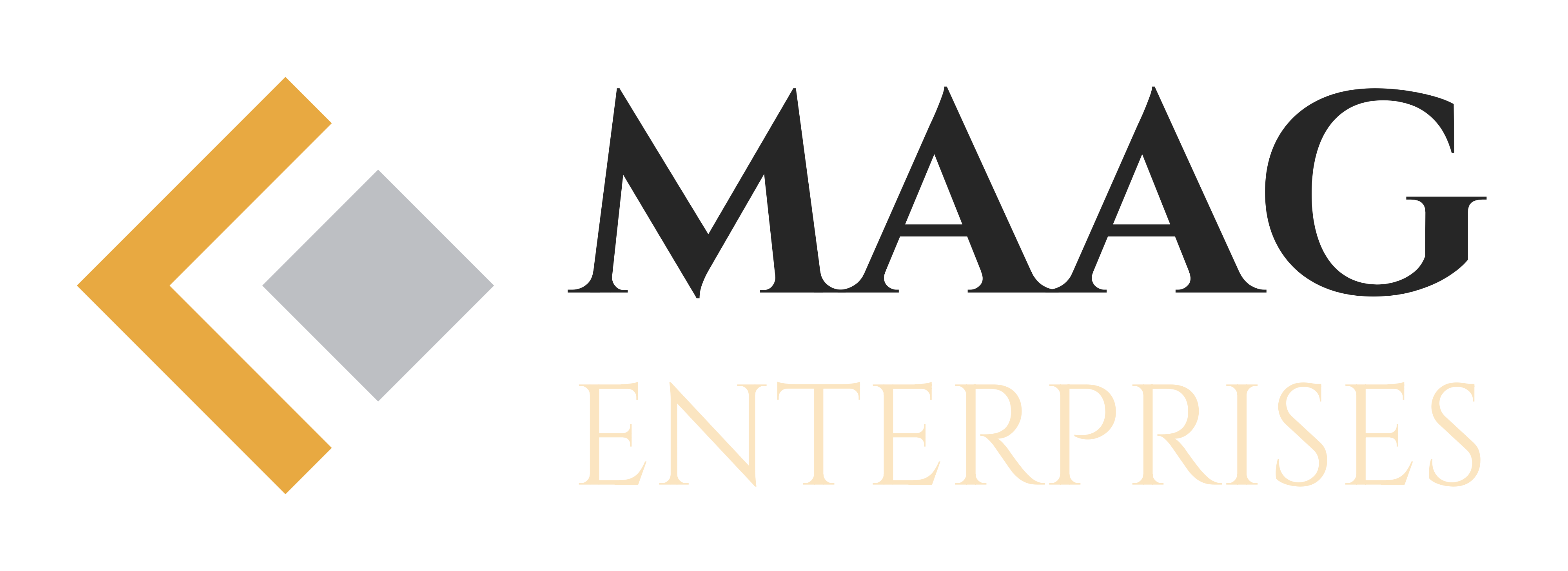 Maag Property Services Logo