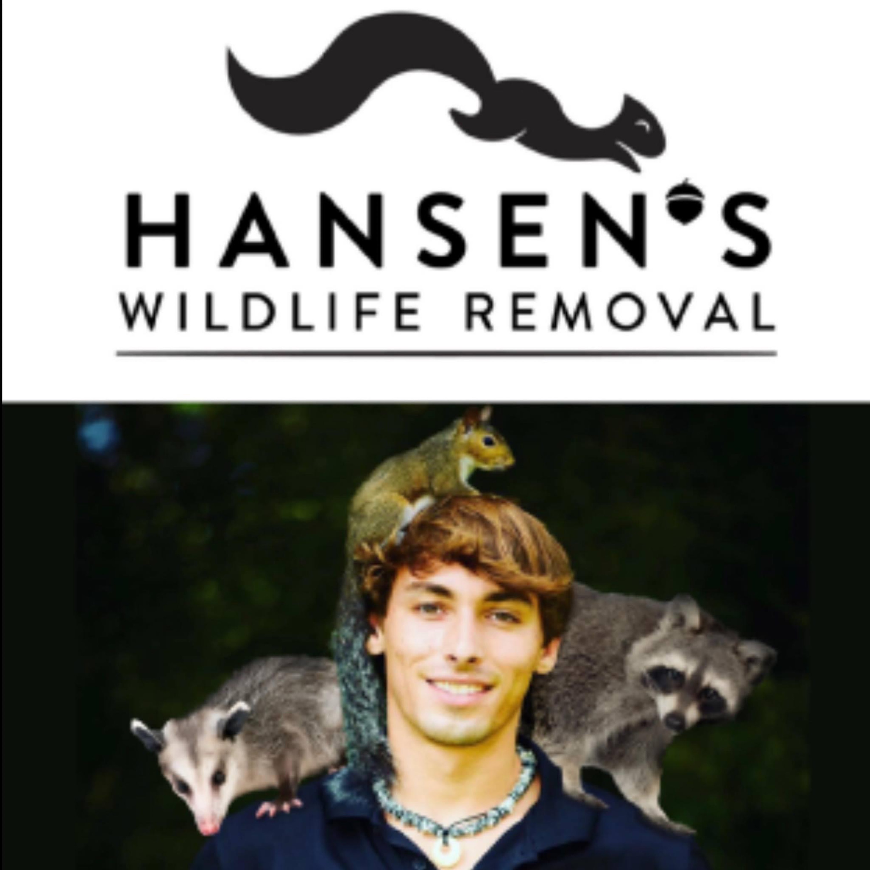 Hansen's Wildlife Removal Logo