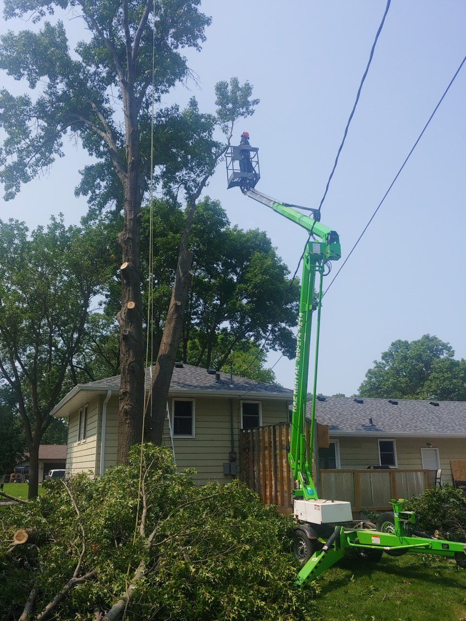 Tree Line Property Svcs ,LLC, Tree Removal