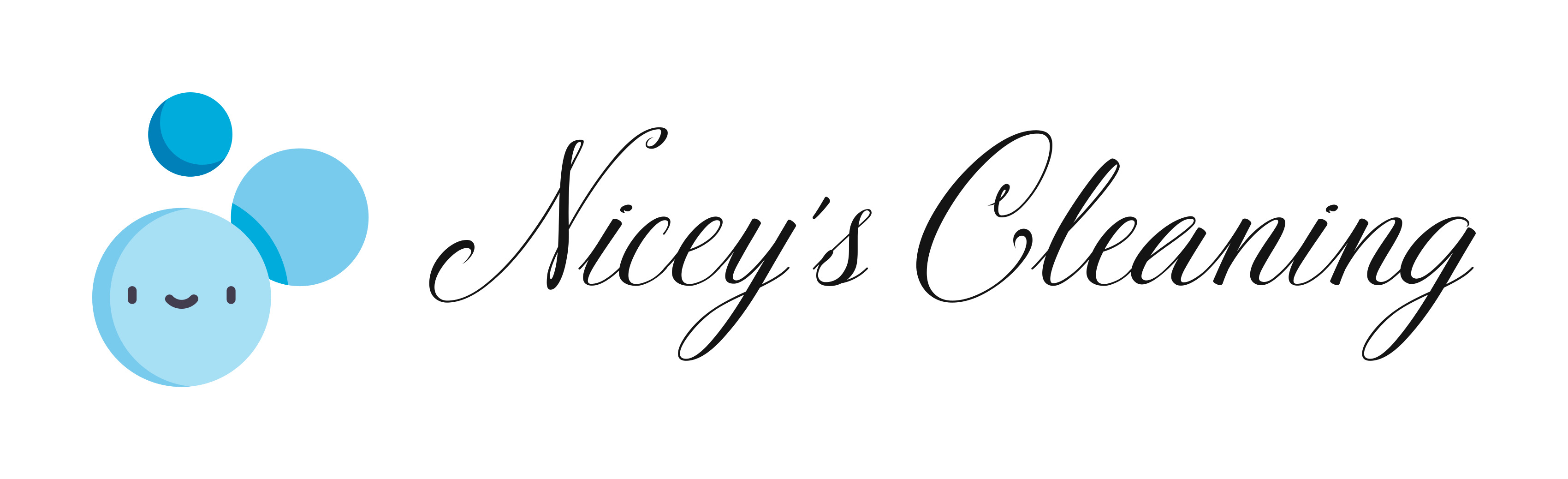 Niceys Cleaning, LLC Logo