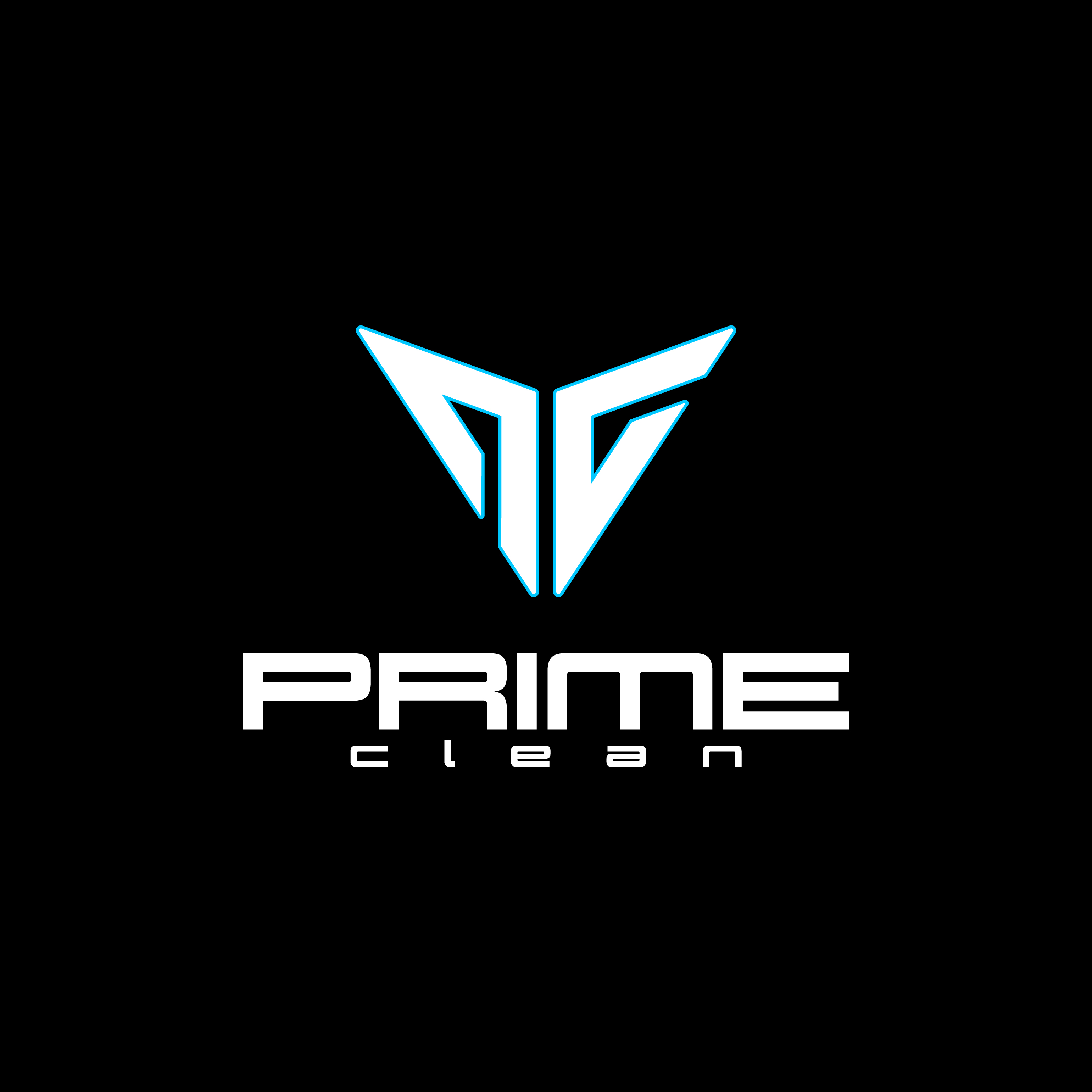 Prime Clean Logo