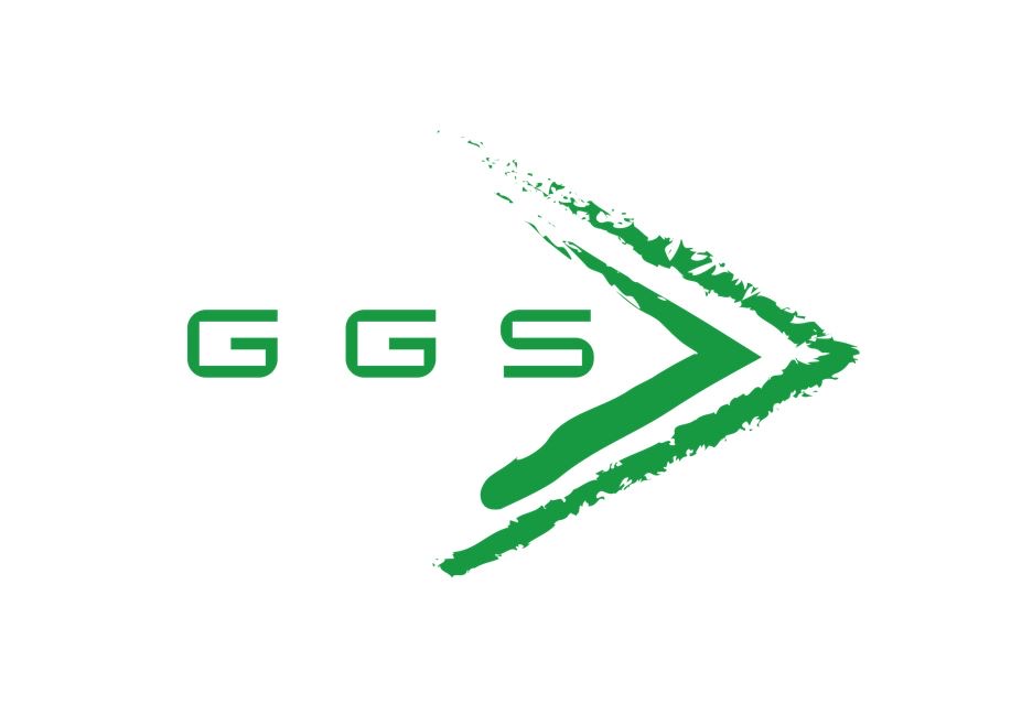 GEOSTAT Logo