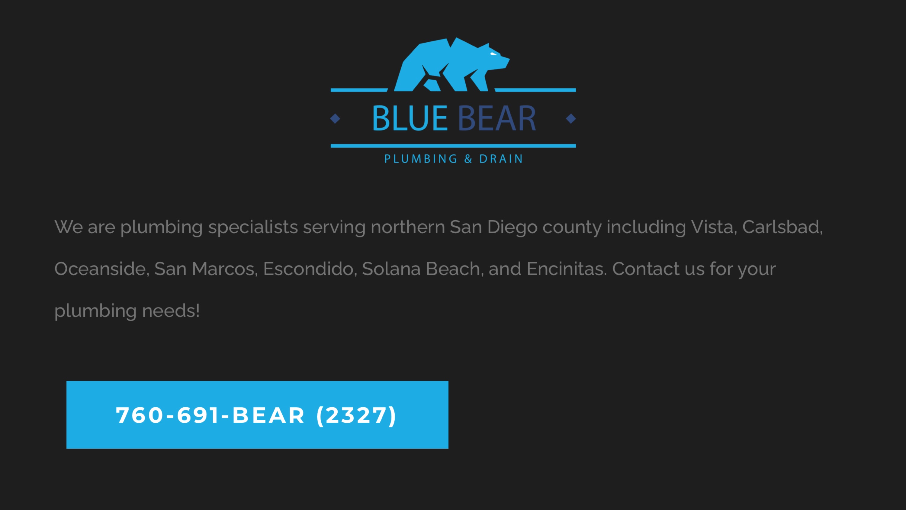 Blue Bear Plumbing & Drain Logo