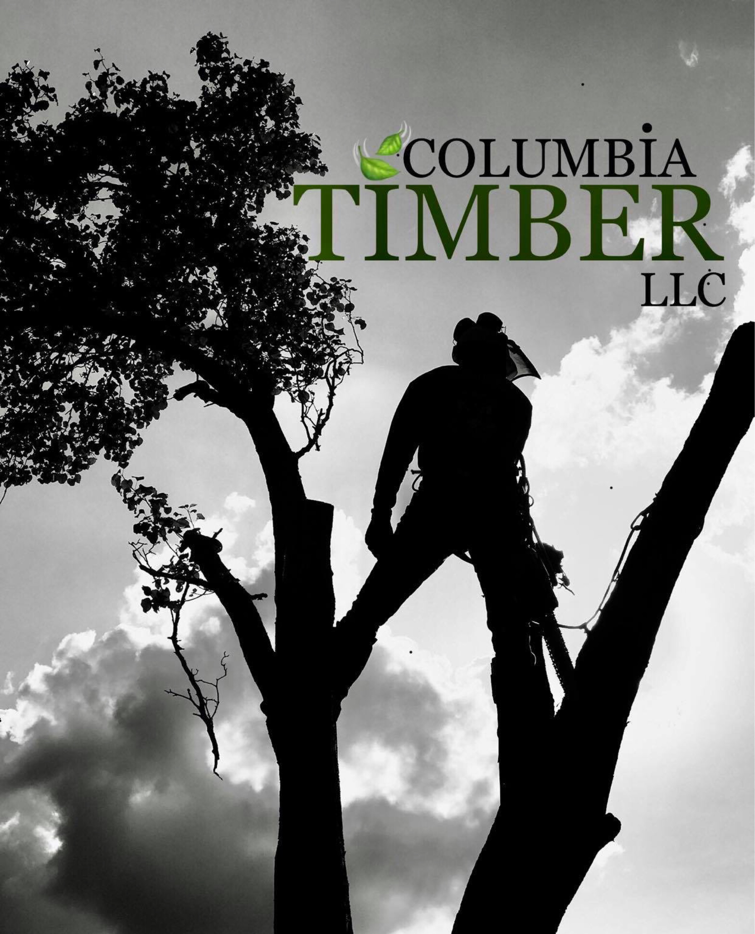 Columbia Timber Logo