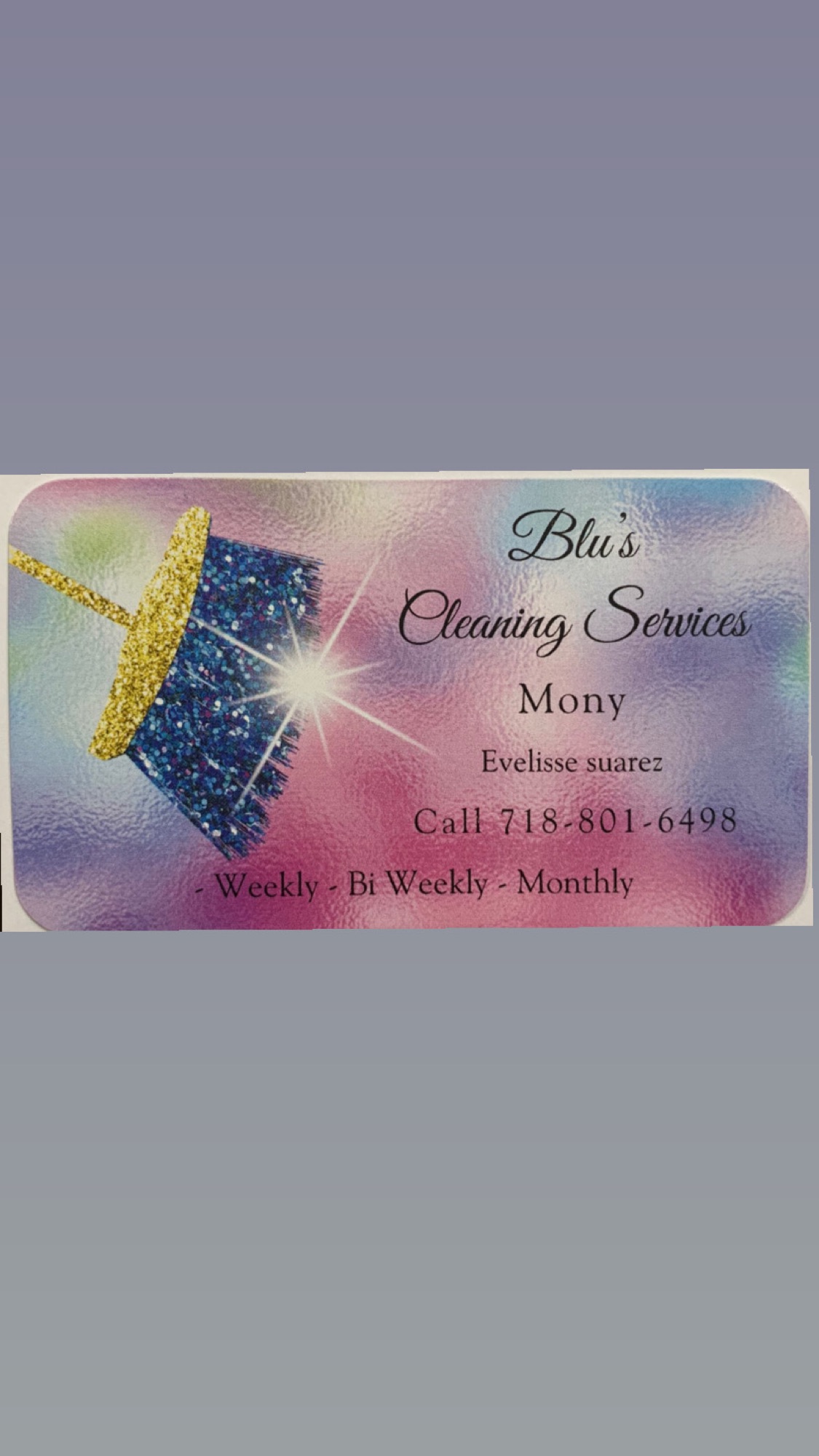 Blu Cleaning Services Logo
