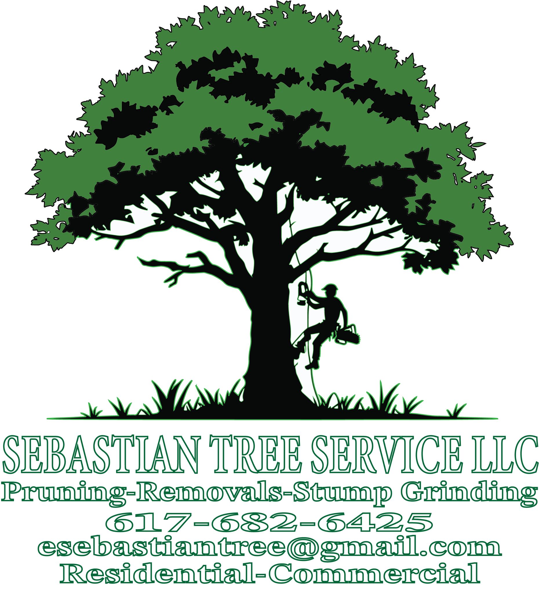 SEBASTIAN LANDSCAPING & TREE SERVICES LLC Logo