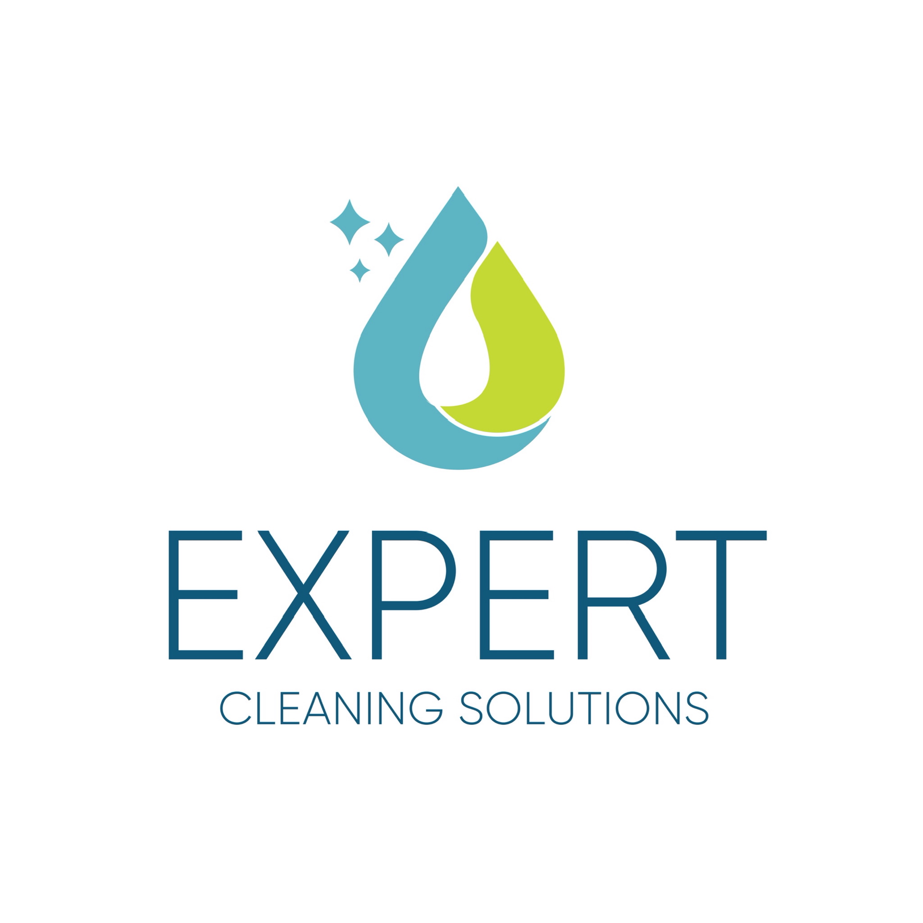 Expert Cleaning Solutions Logo