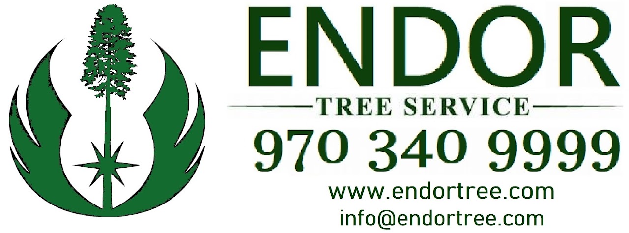 Endor Tree Services Logo