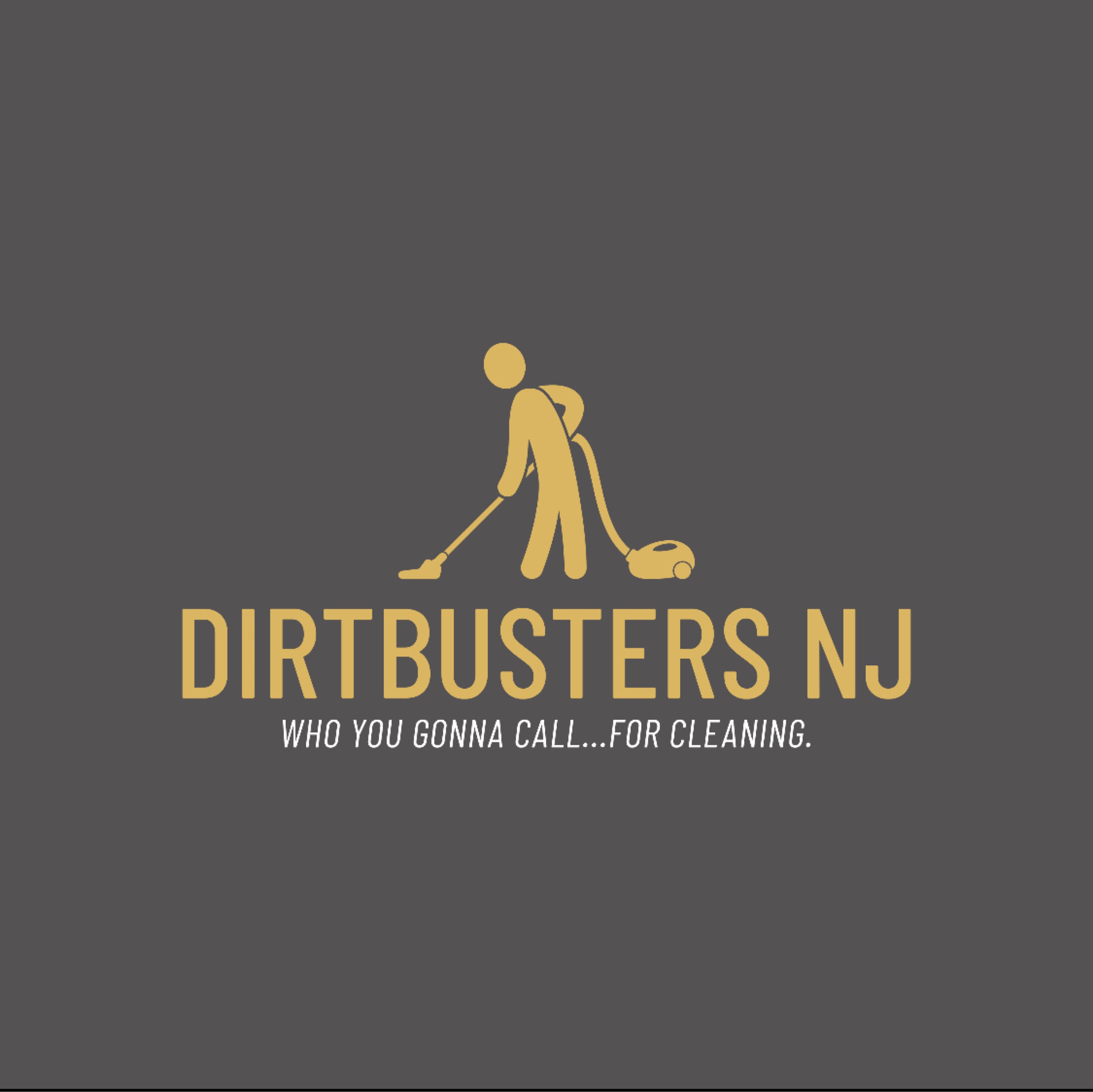 Dirtbusters NJ Logo