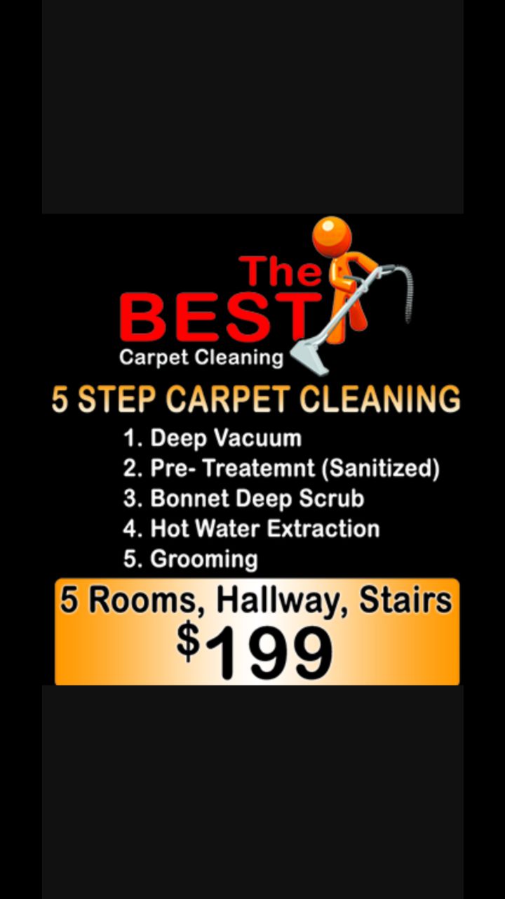 The Best Carpet Cleaning Logo