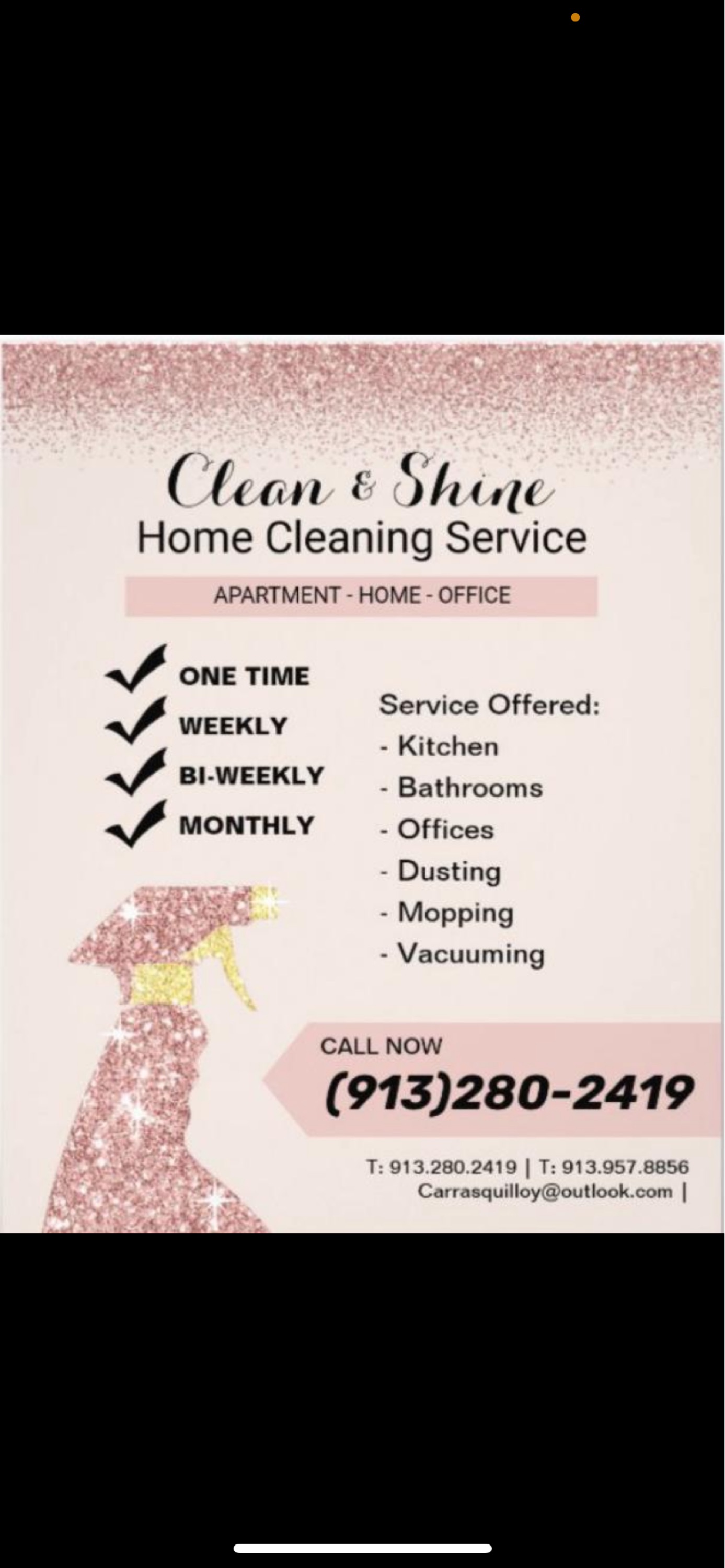 Clean & Shine Home Cleaning Service Logo