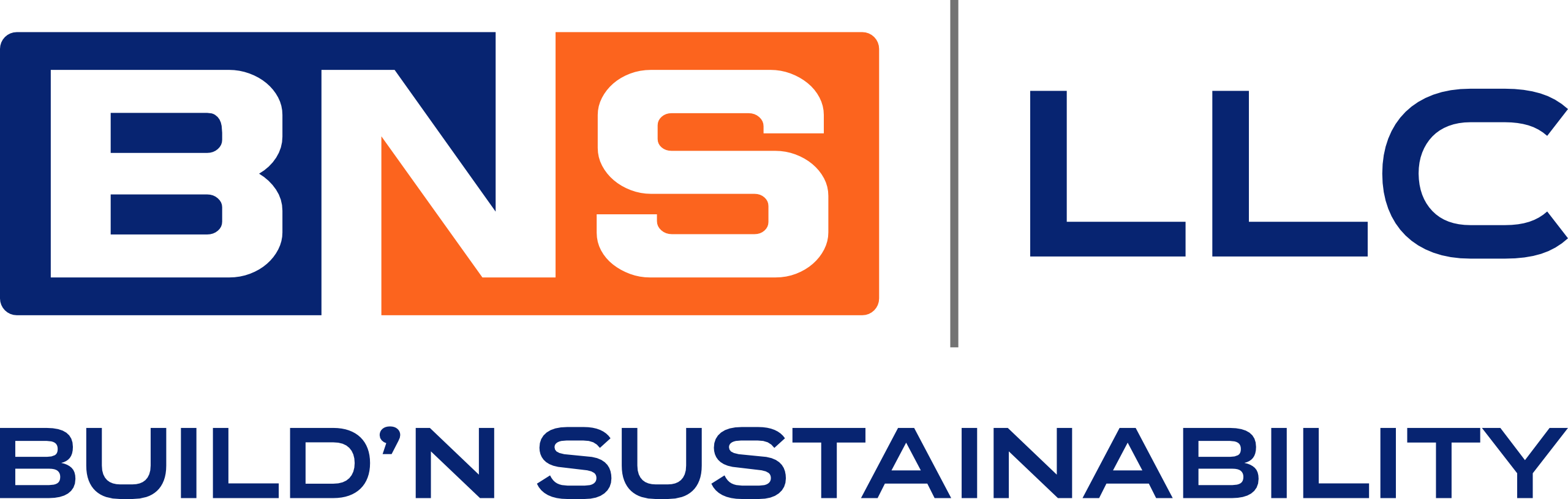 BNS LLC Logo