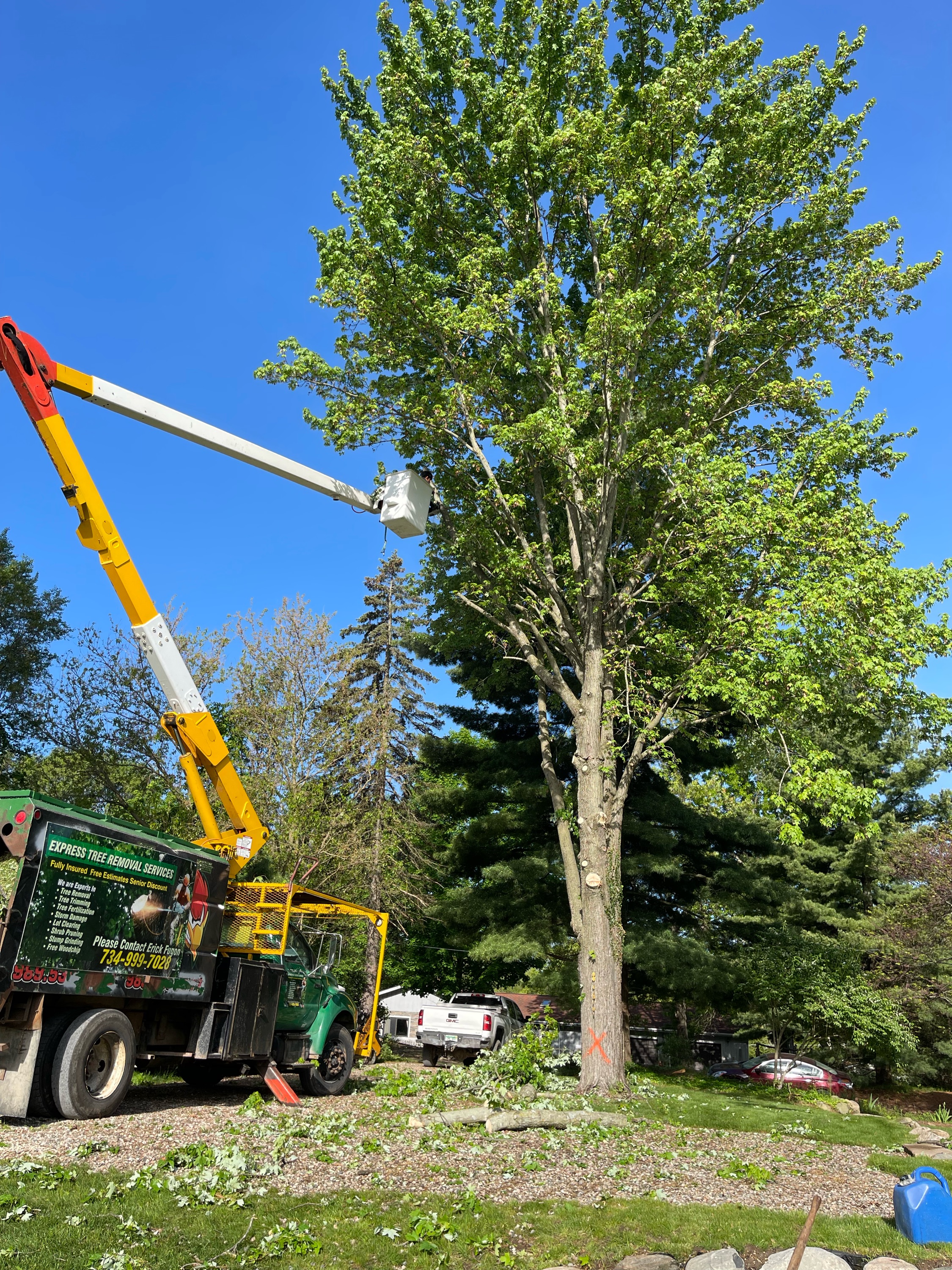 Express Tree Removal Services Logo