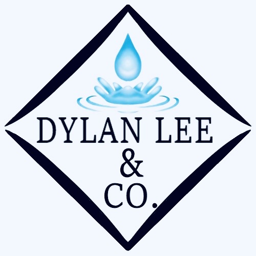 Dylan Lee & Co. Logo