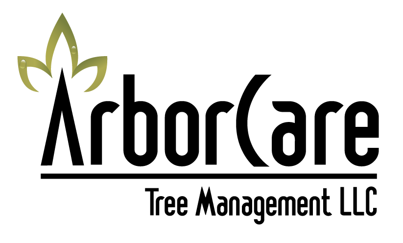 ArborCare Tree Management LLC Logo