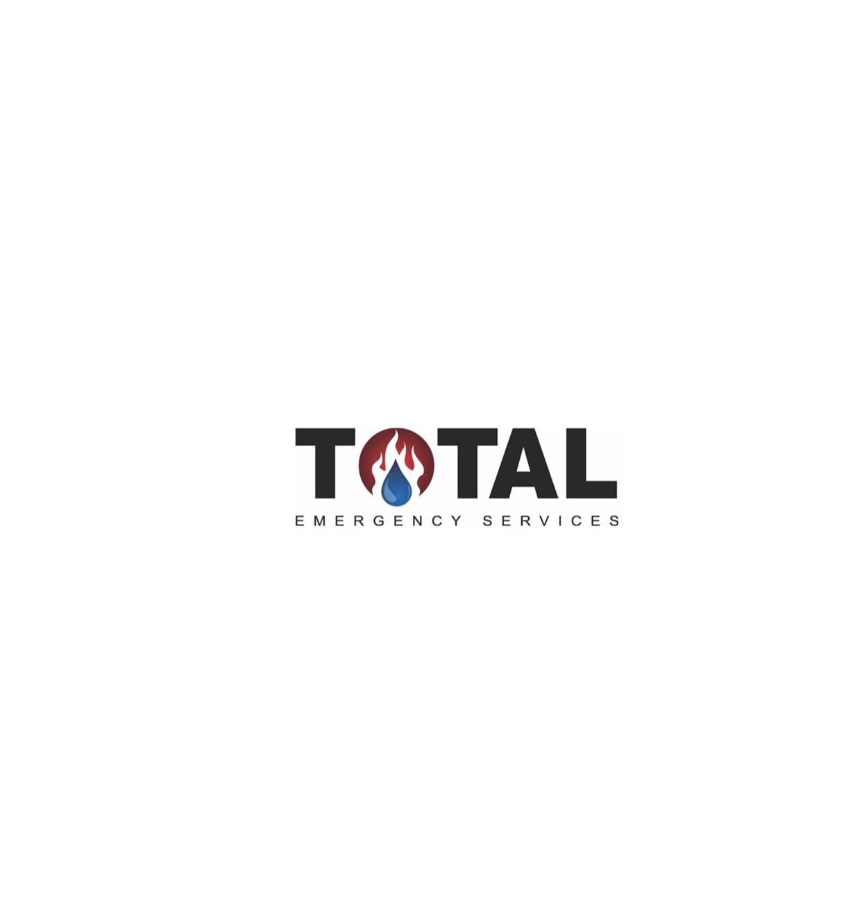 Total Emergency Services Logo